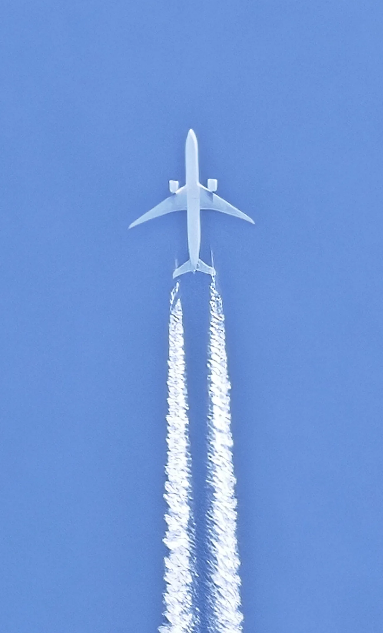 Без названия