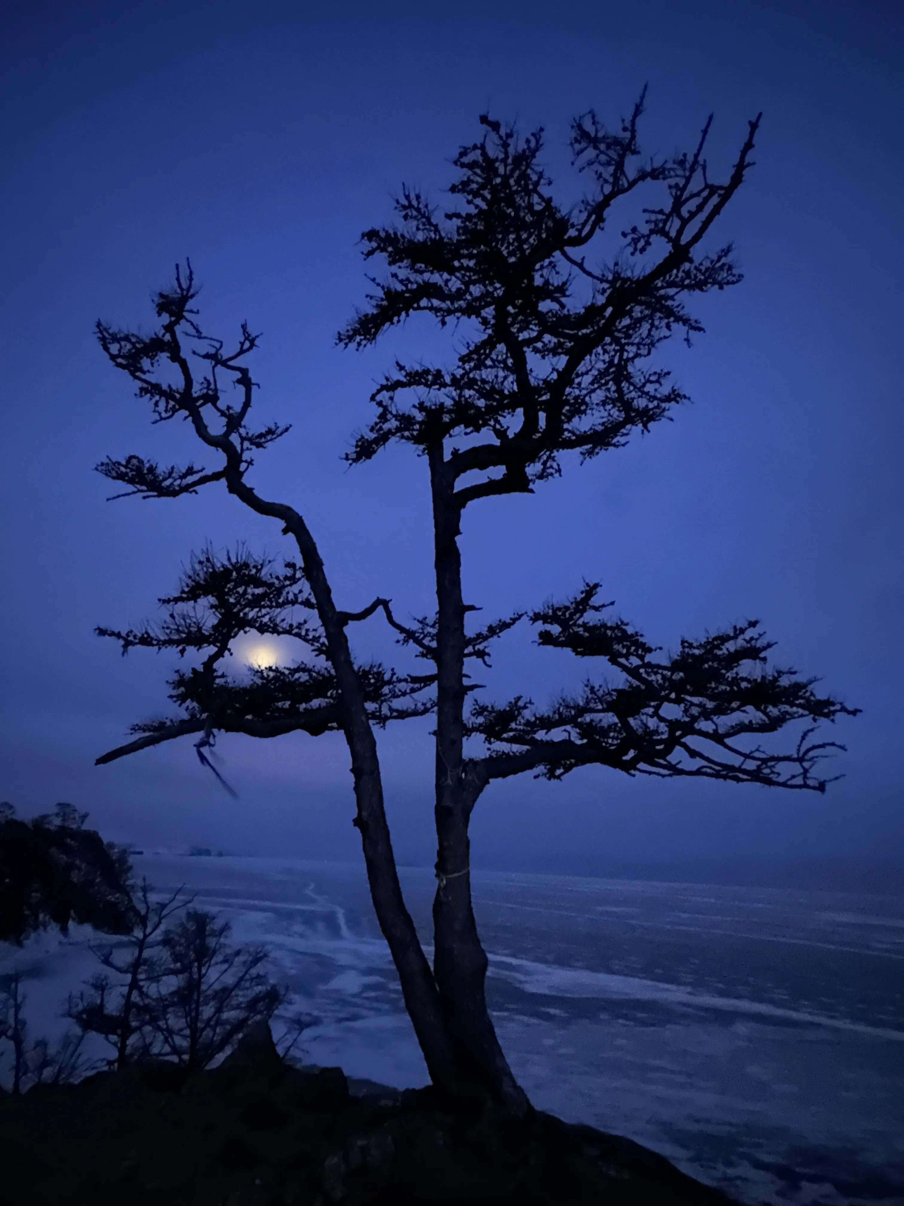 Утренняя предрассветная тишина