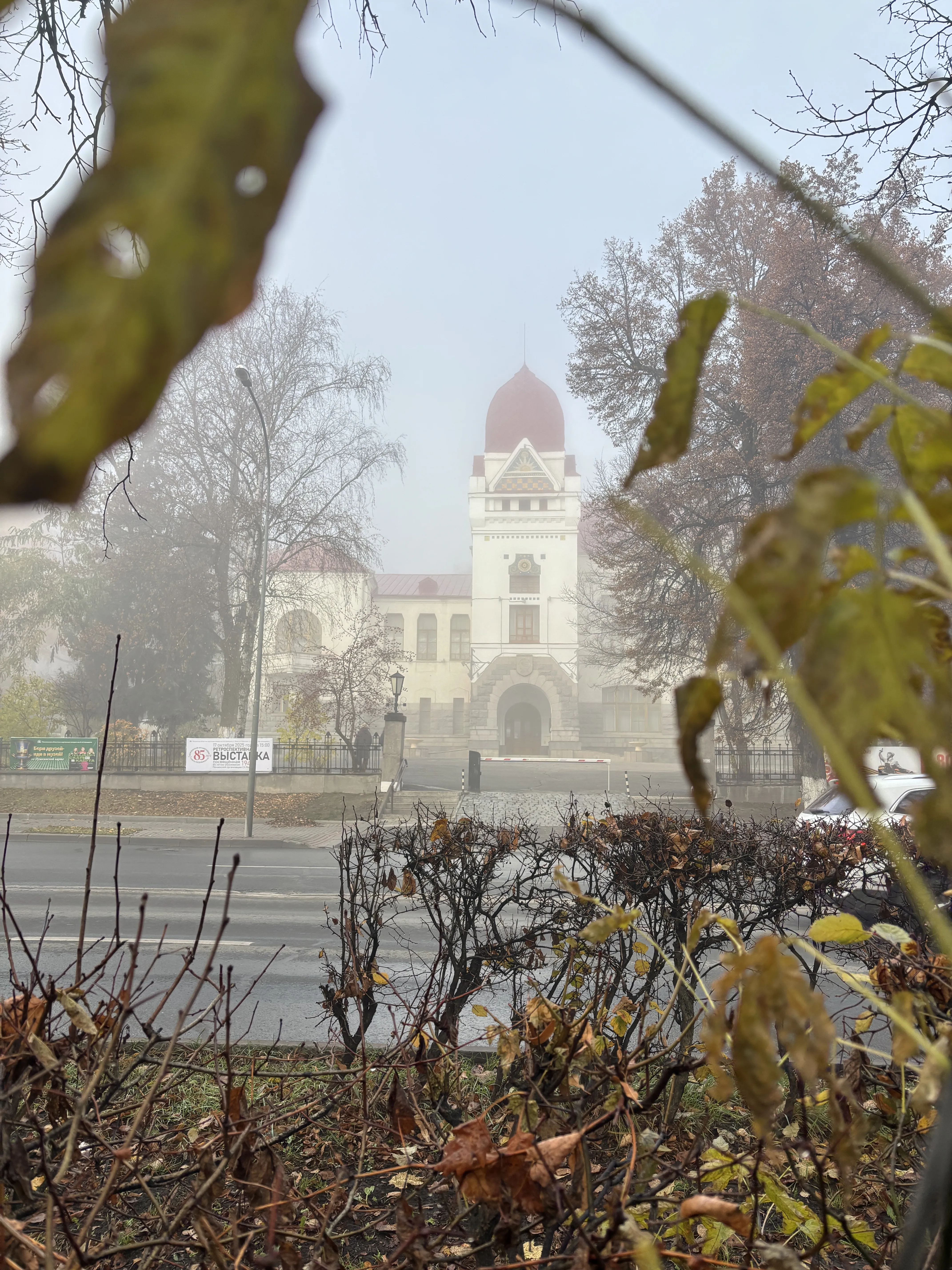 Свет сквозь туман