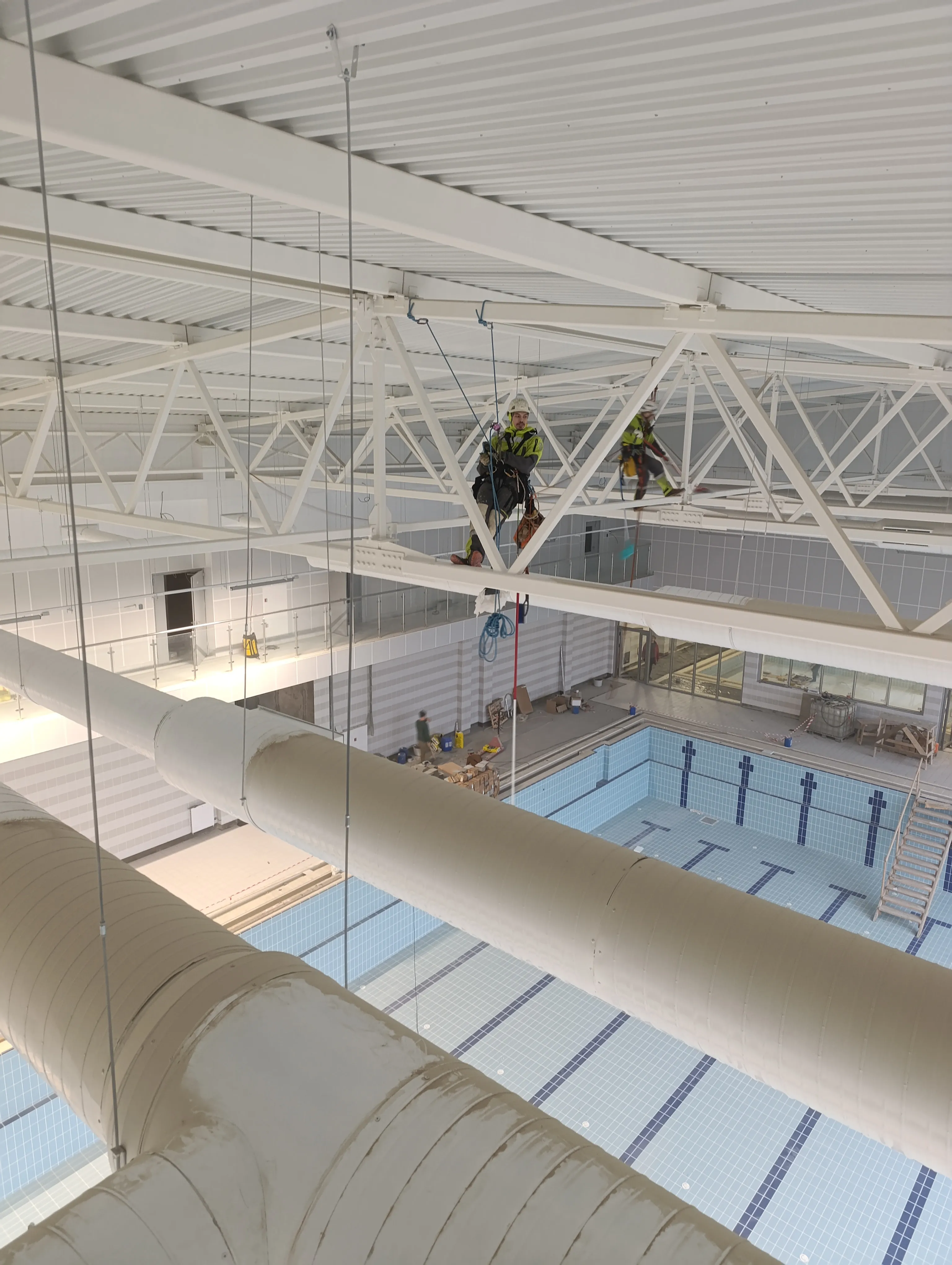 Грачи прилители