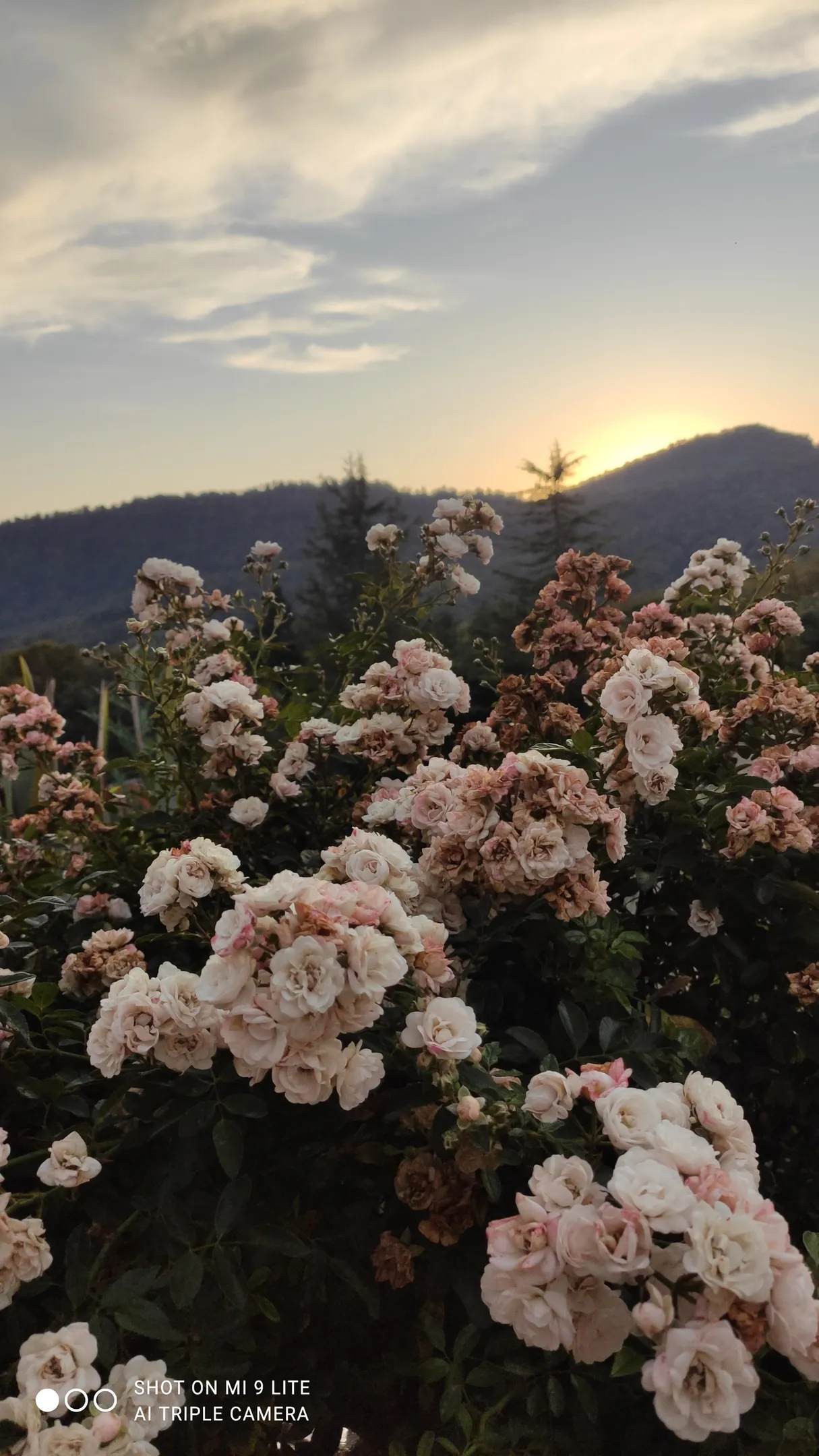 На закате дня