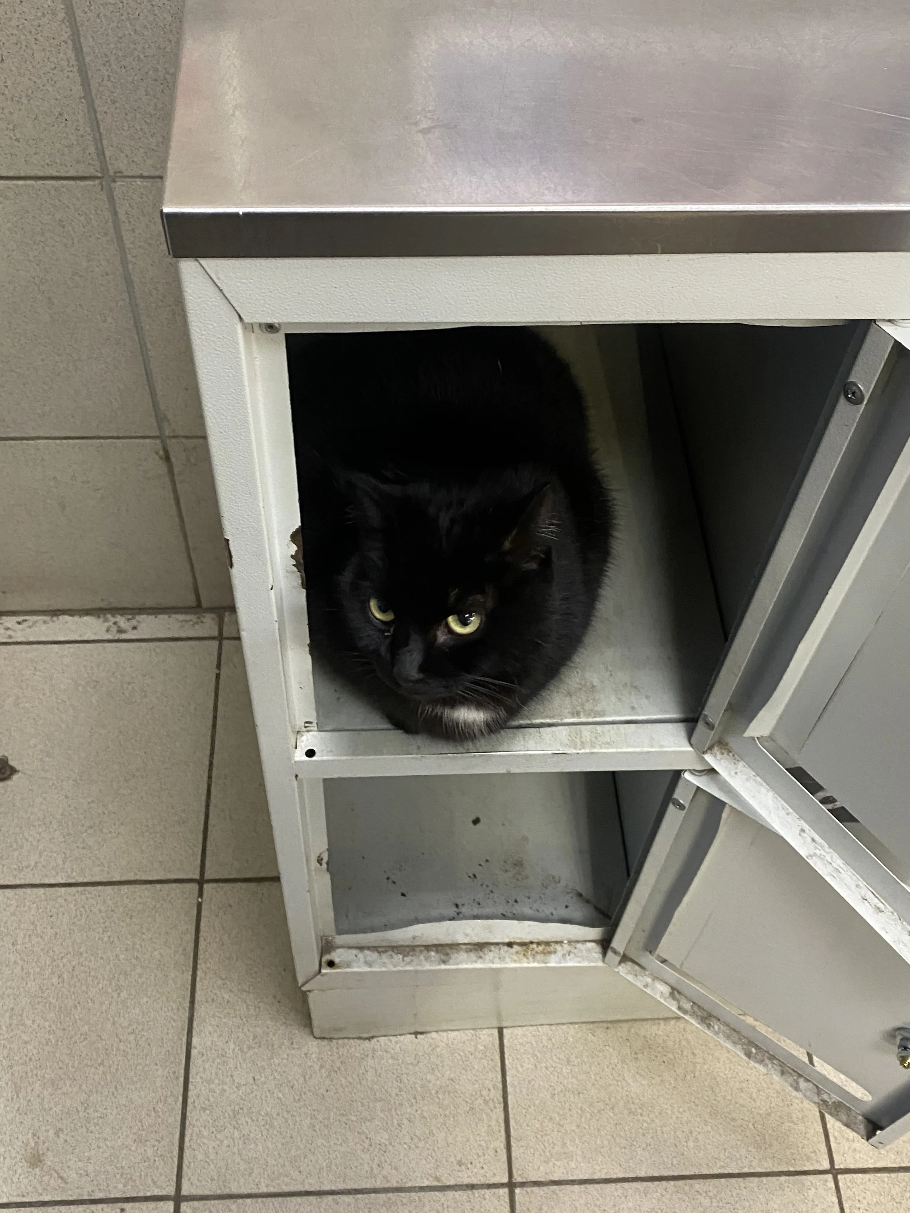 «я в домике»