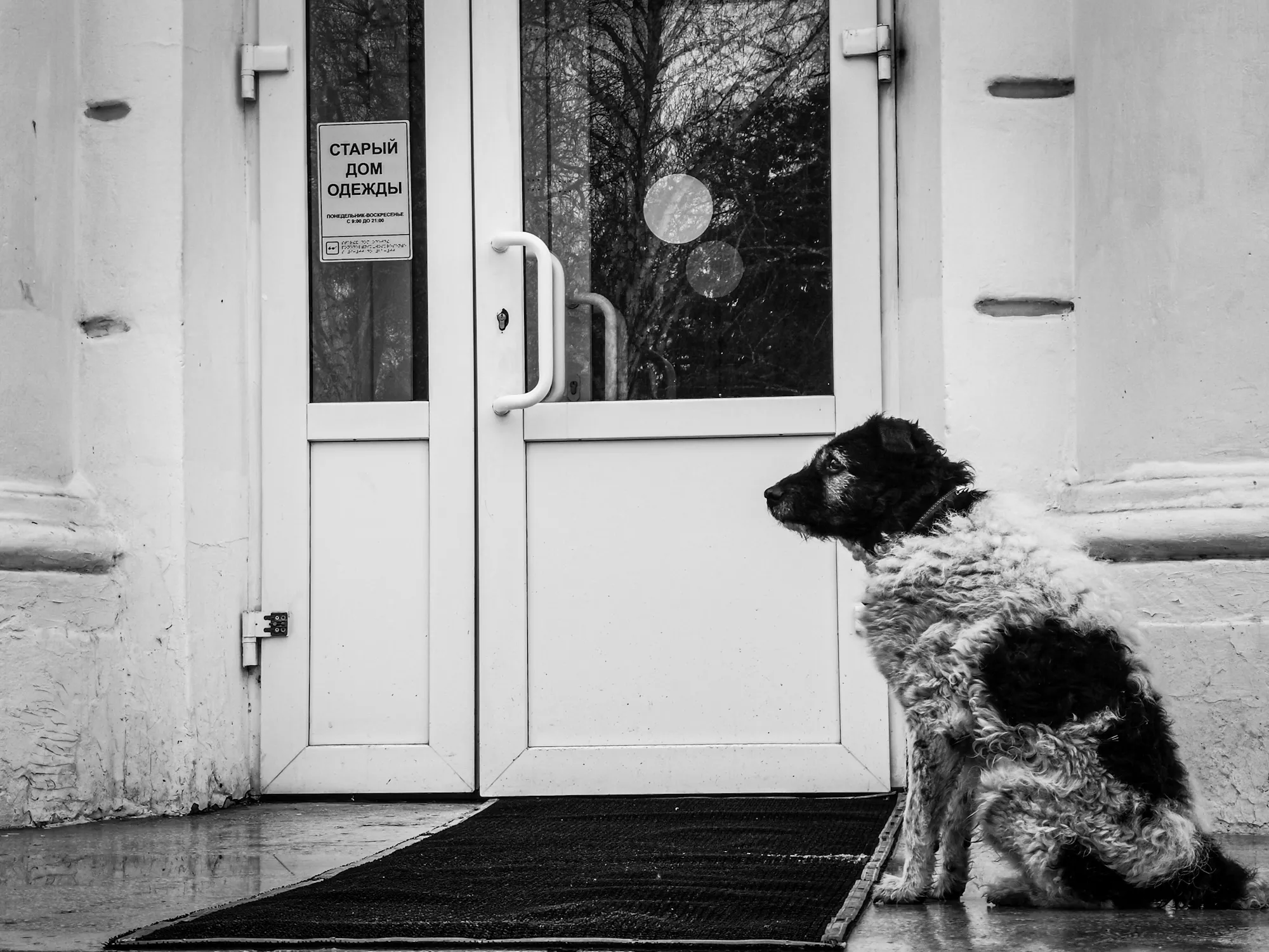 Друг ждёт друга