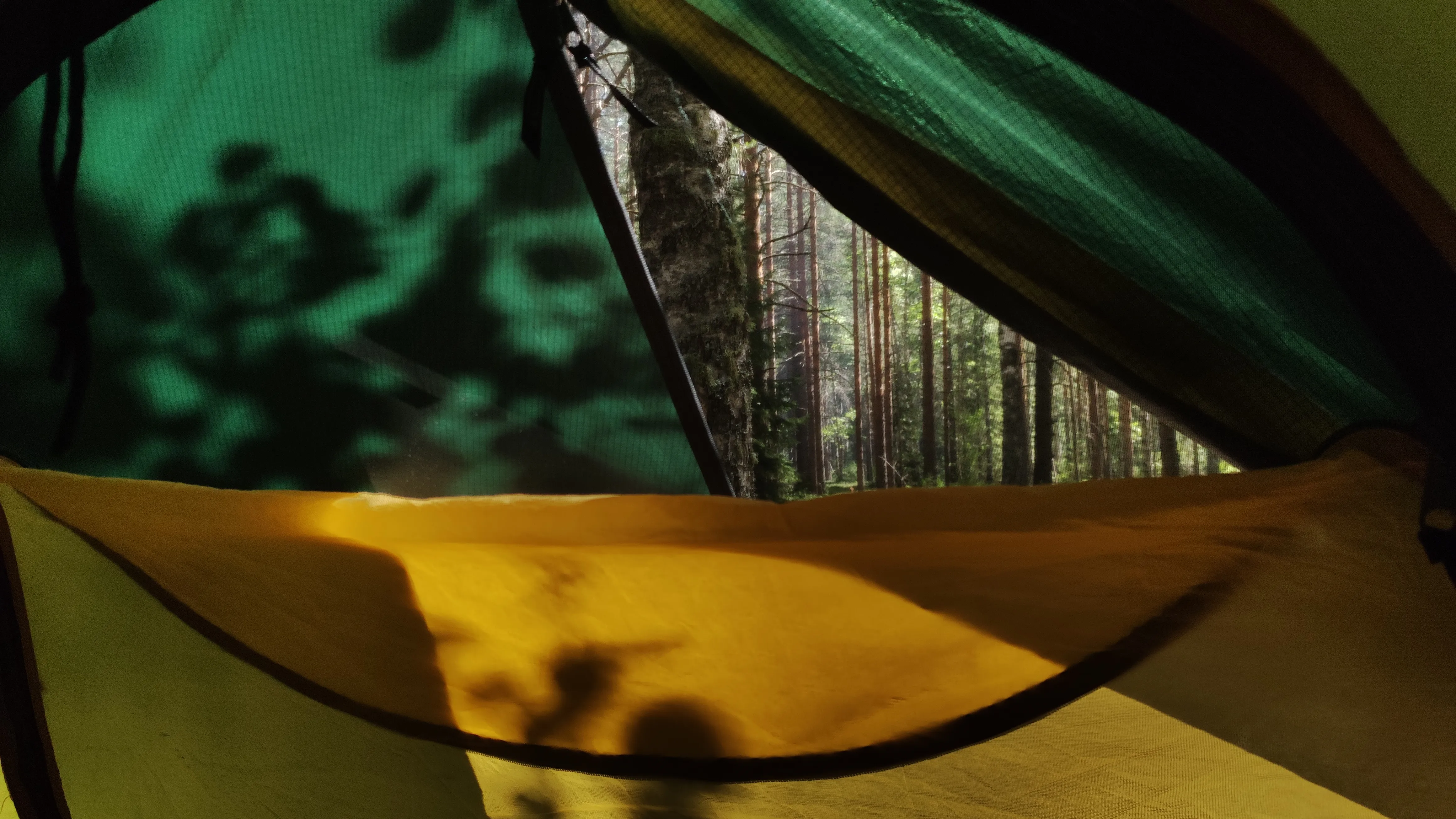 Беззаботное утро