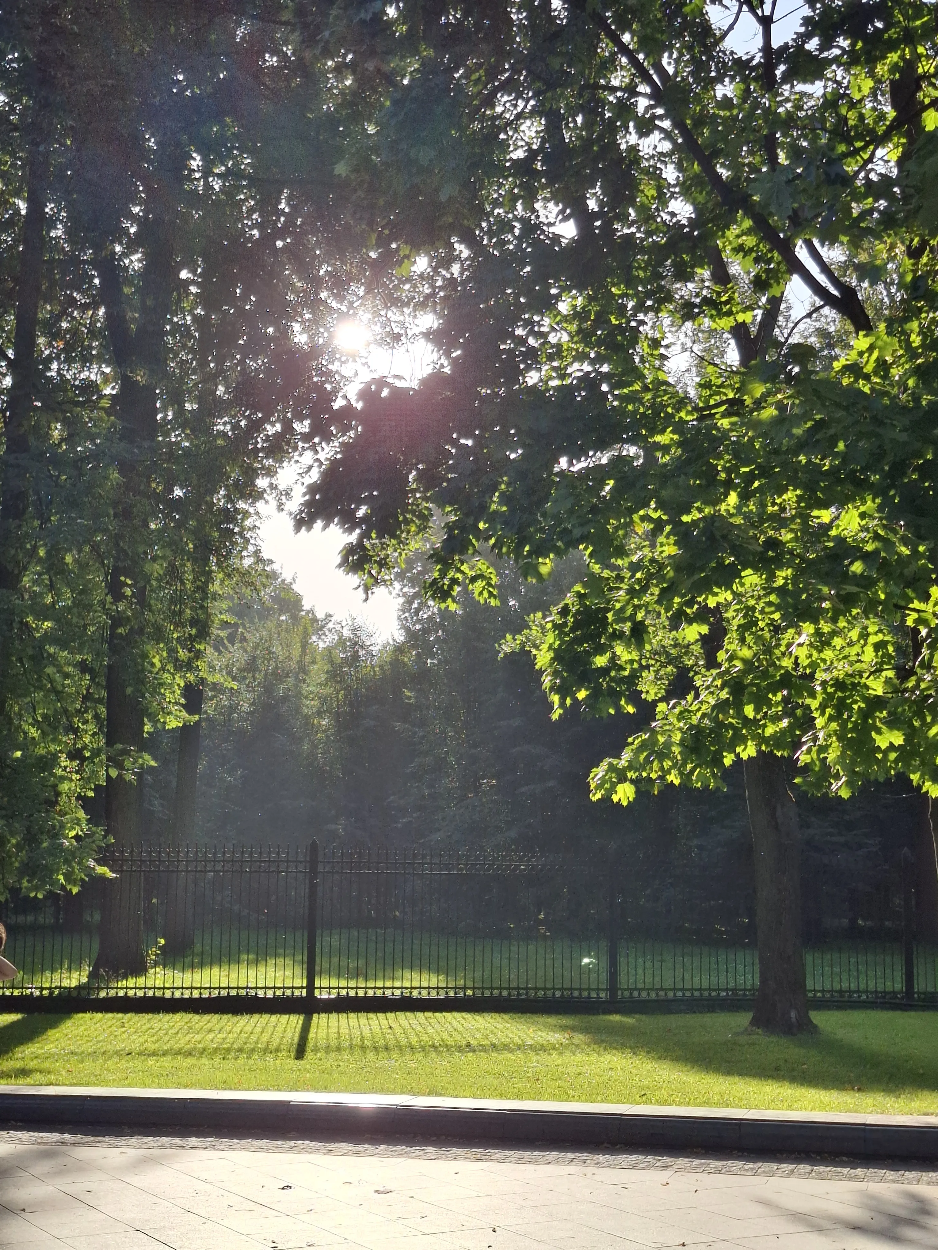 Лето на паузе