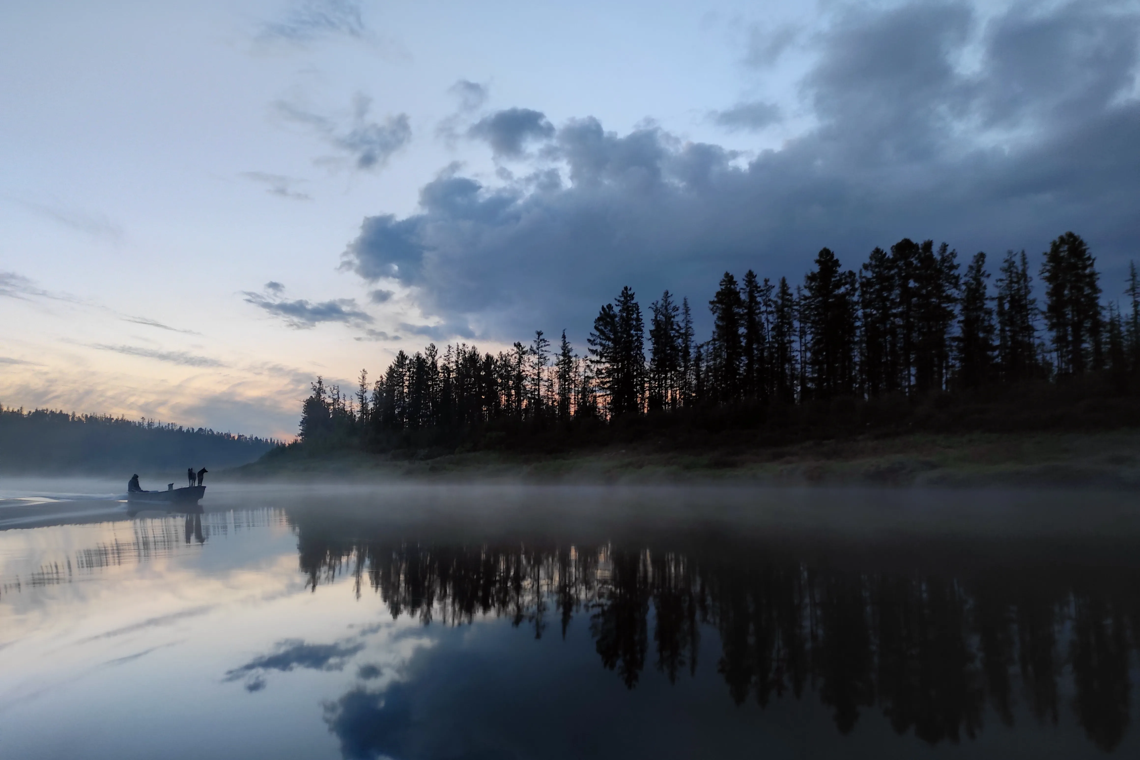 Летняя ночь