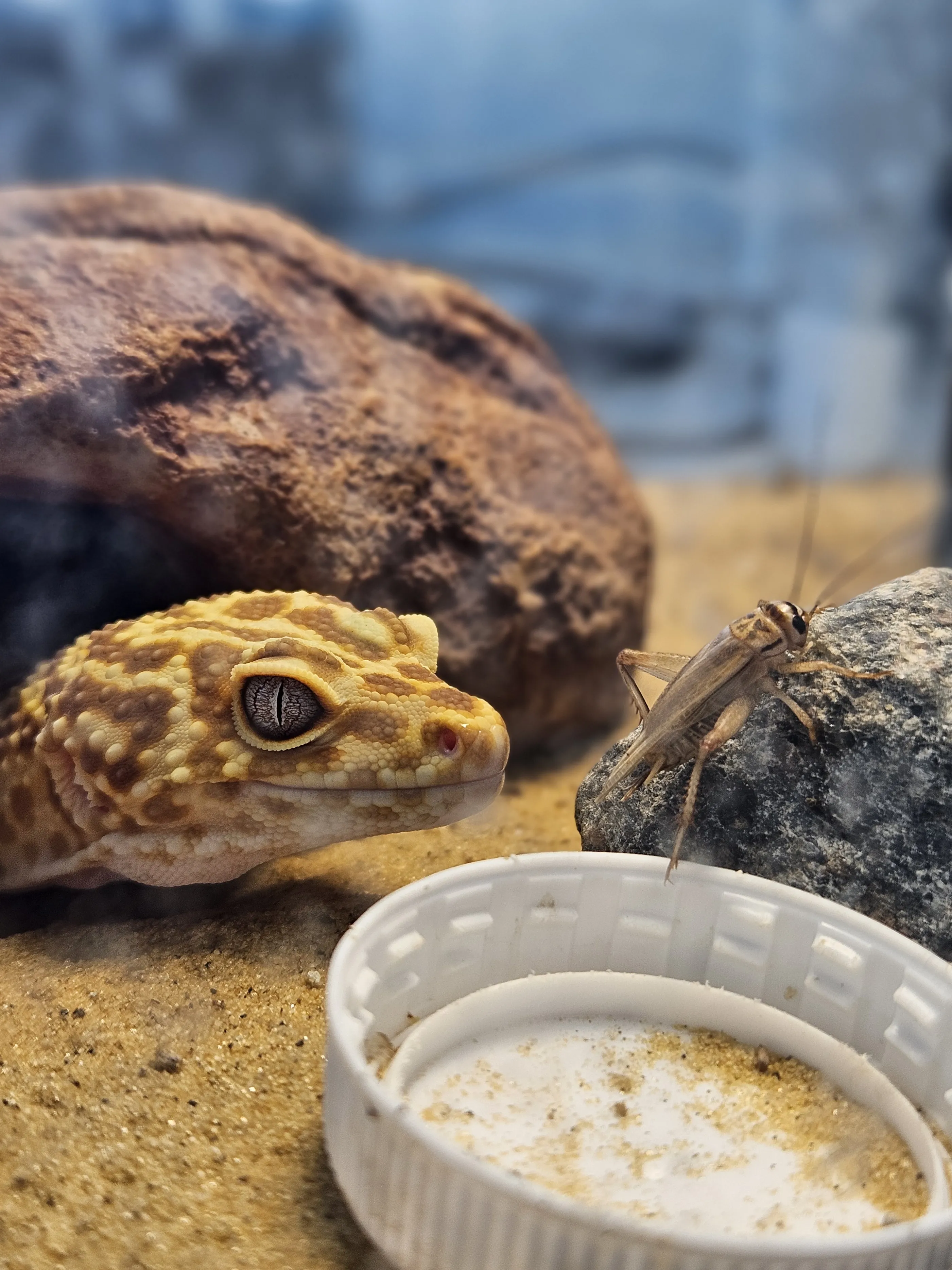 Момент истины