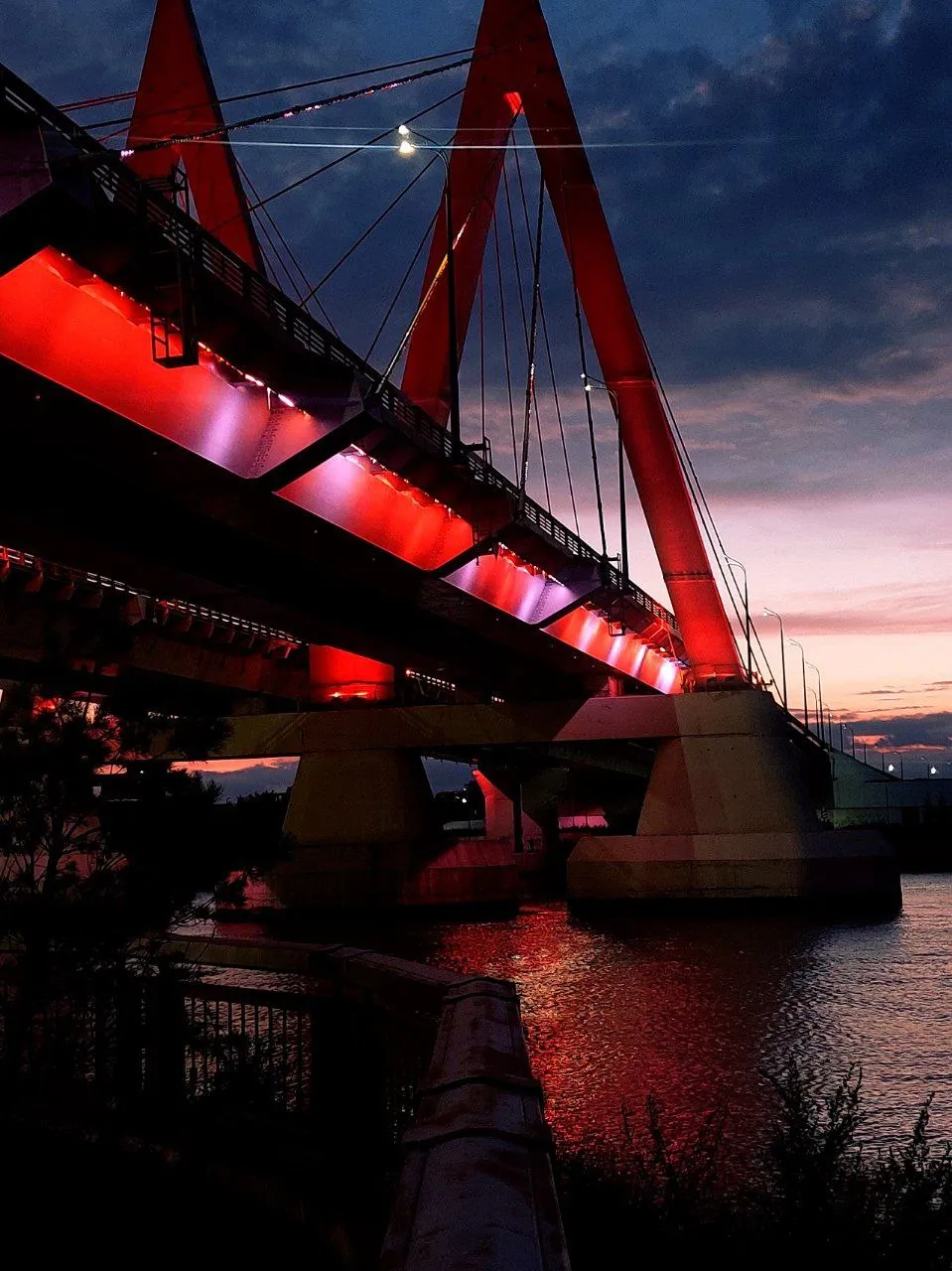 Жизнь в бетоне