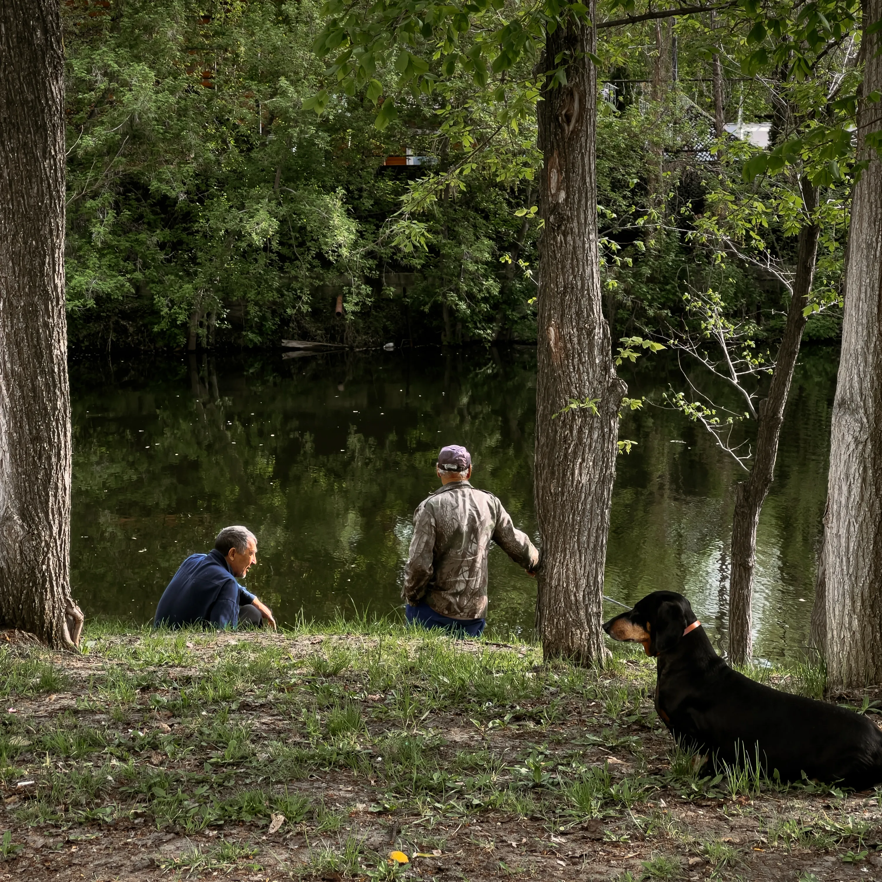 три компаньона