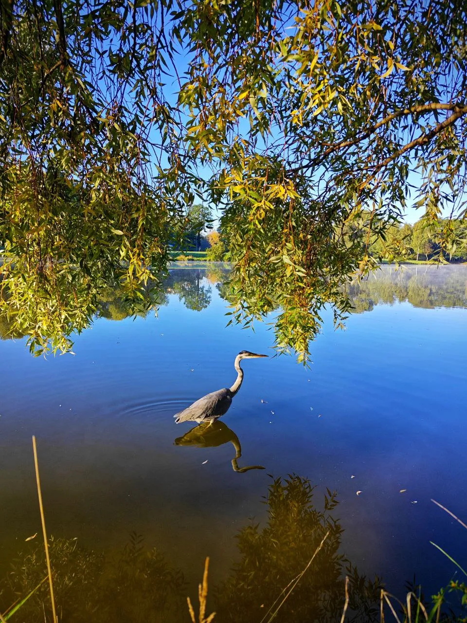 Тихий момент