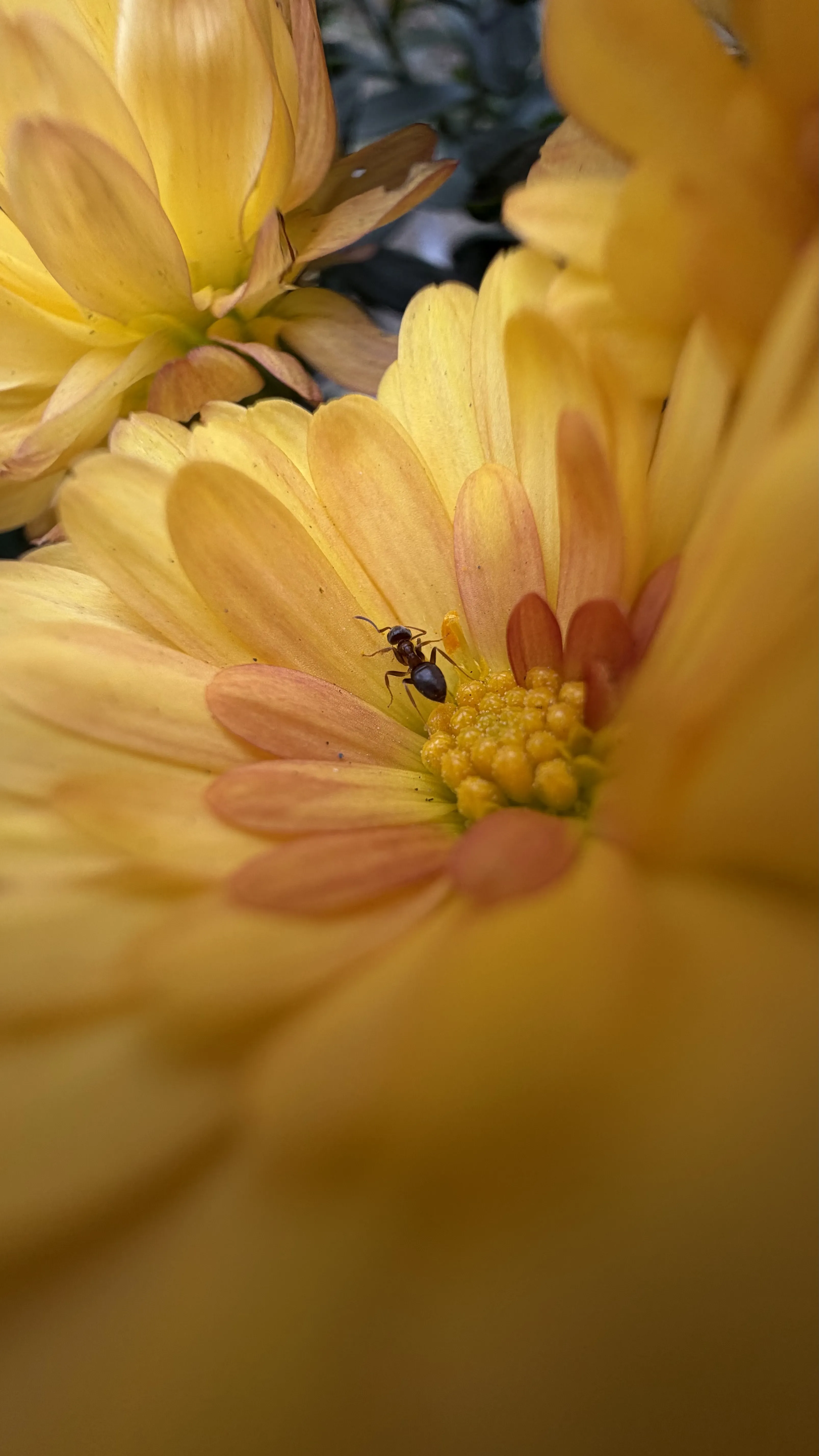 Два мира в одном кадре