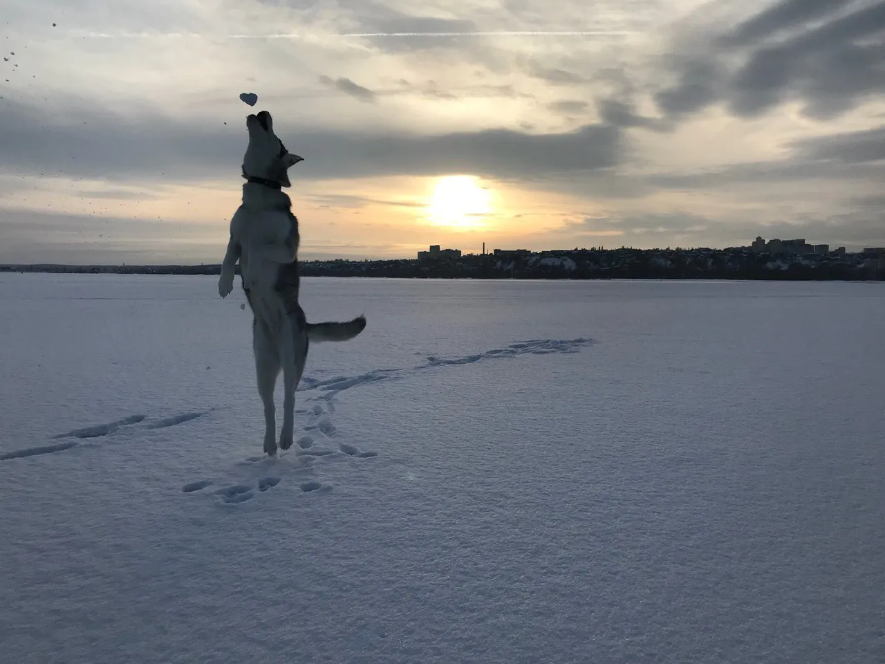 Любовь к снегу