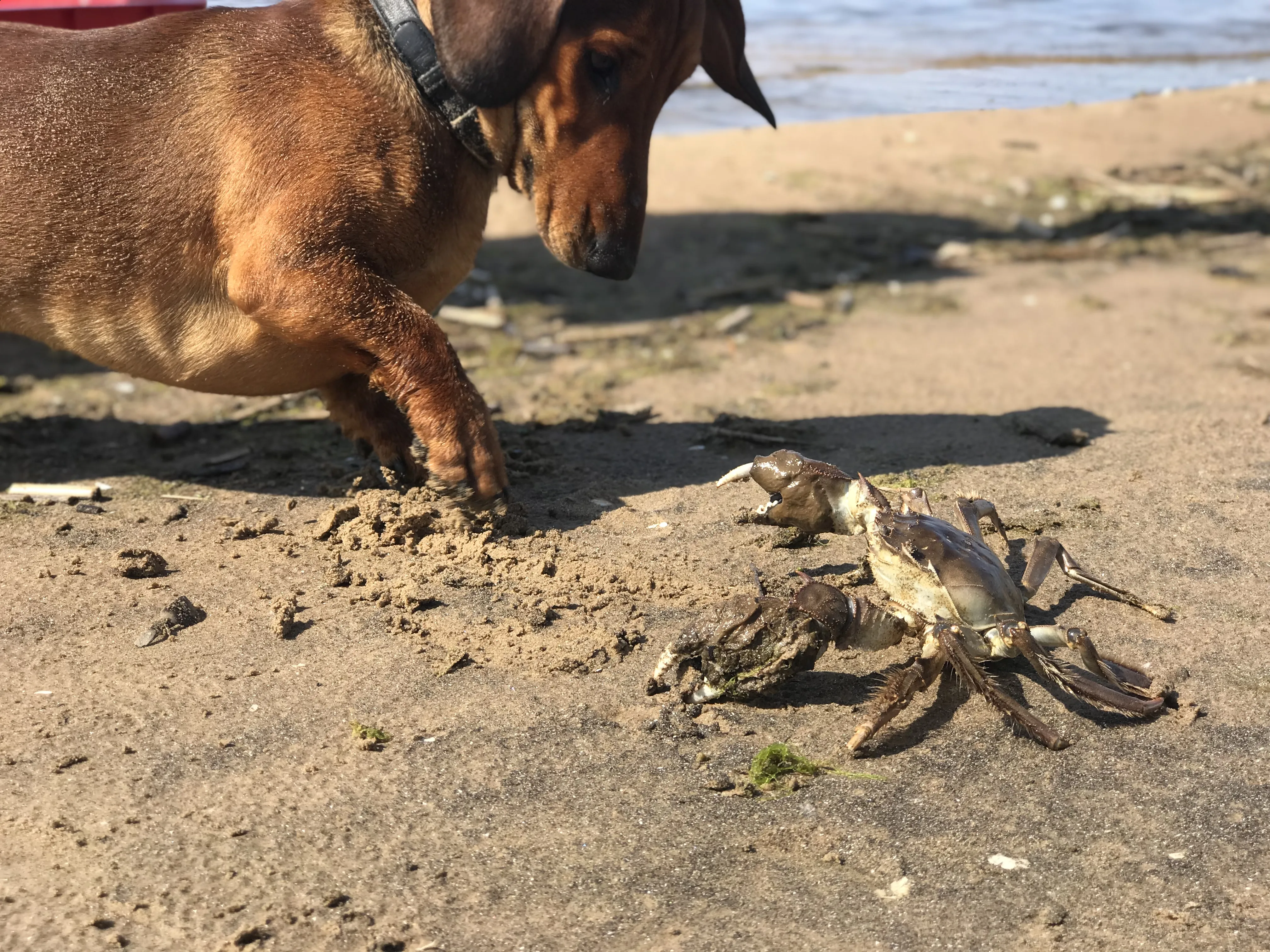 Опасные связи