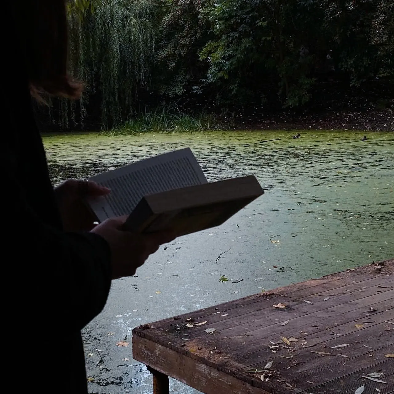 Читать природу