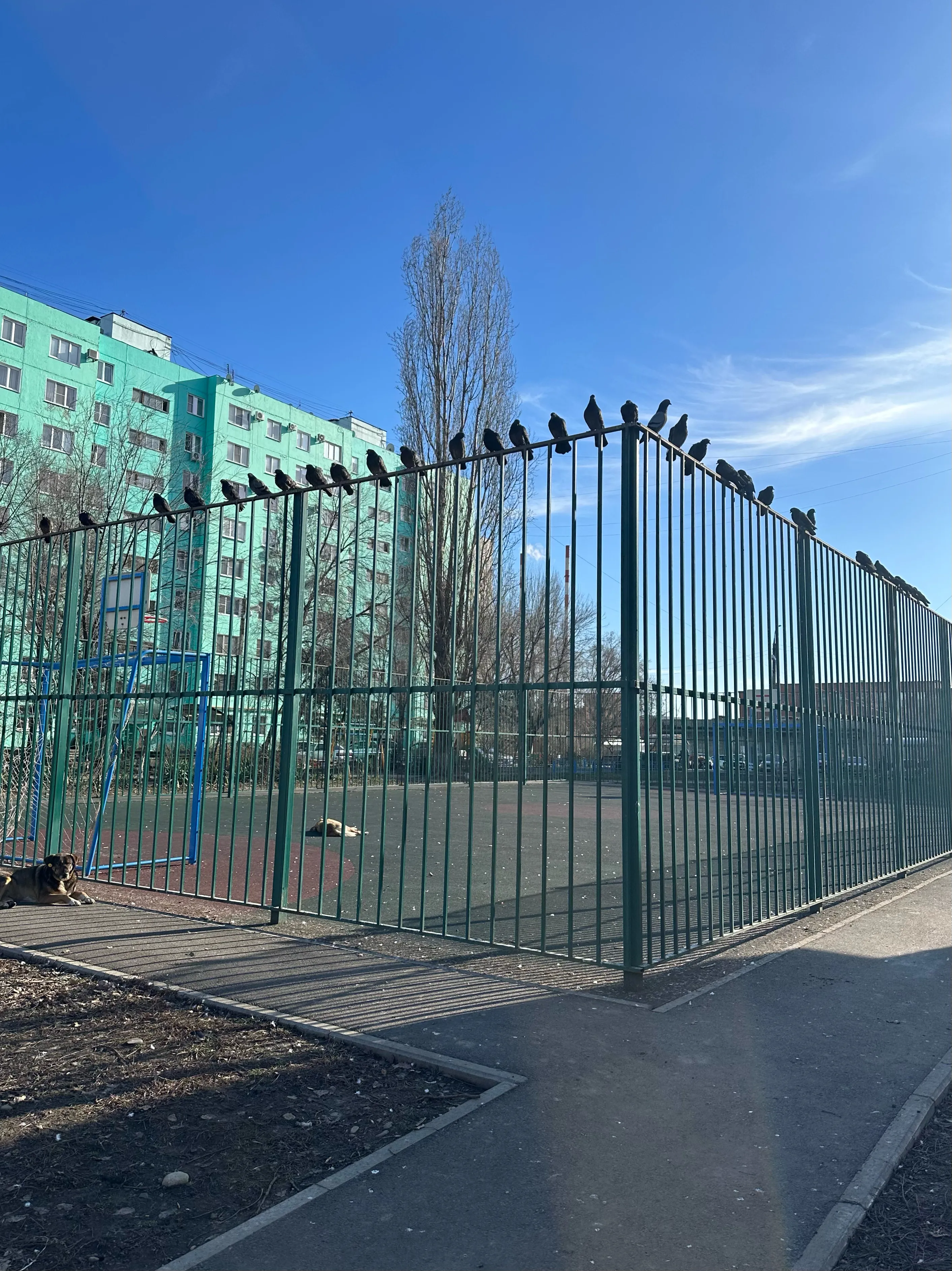 Совещание на верхнем этаже