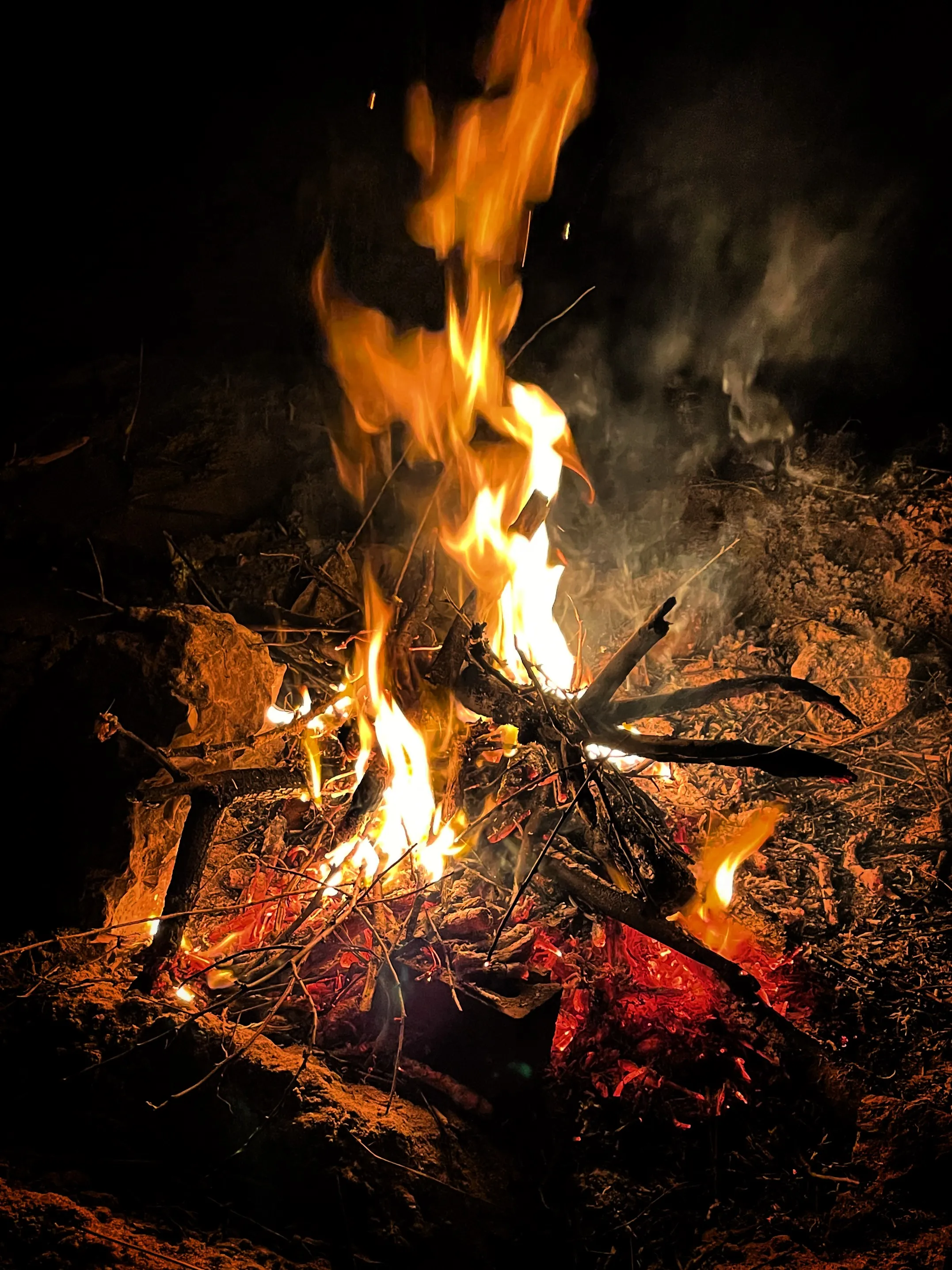 Тепло момента