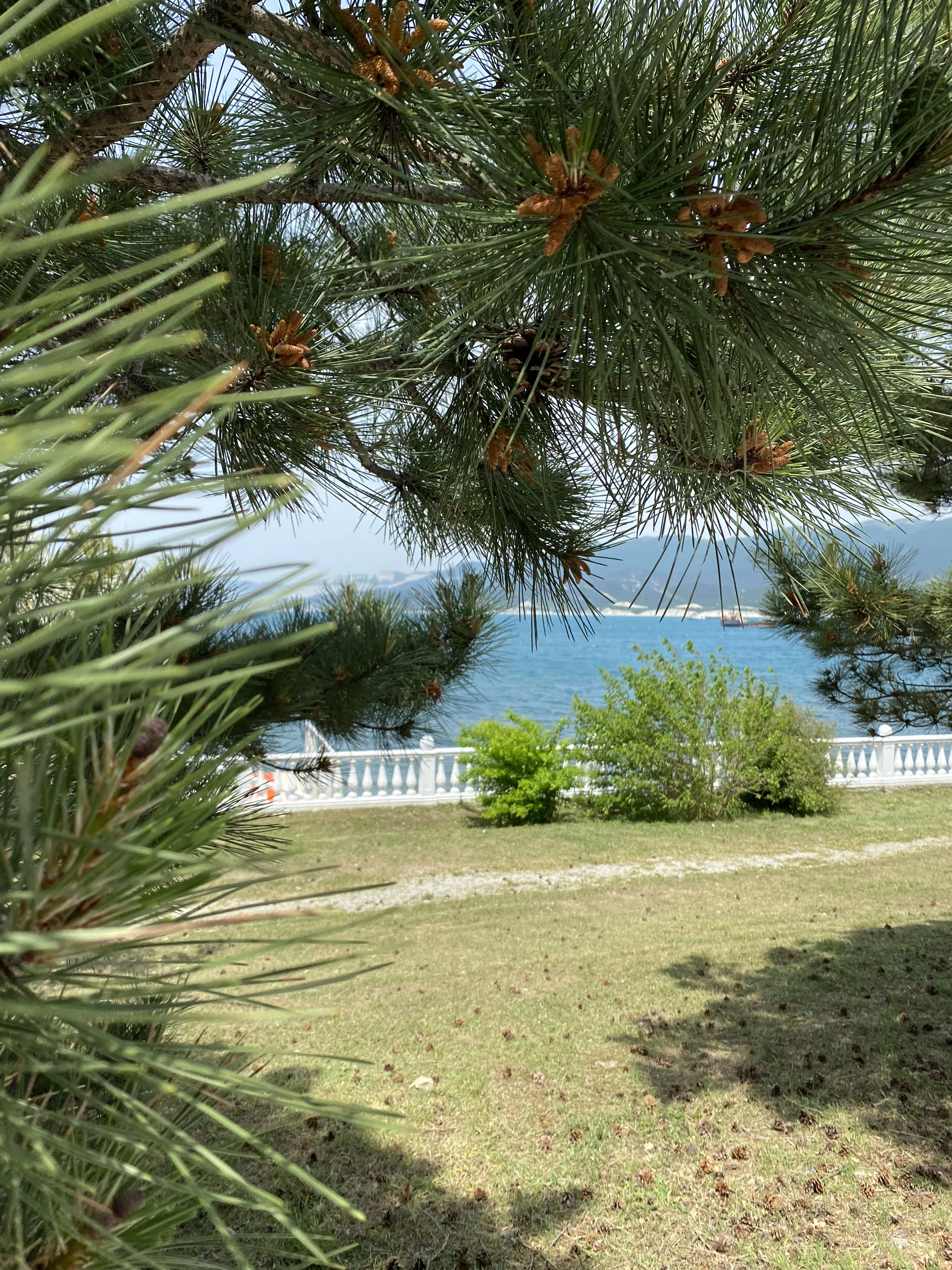 Счастье рядом