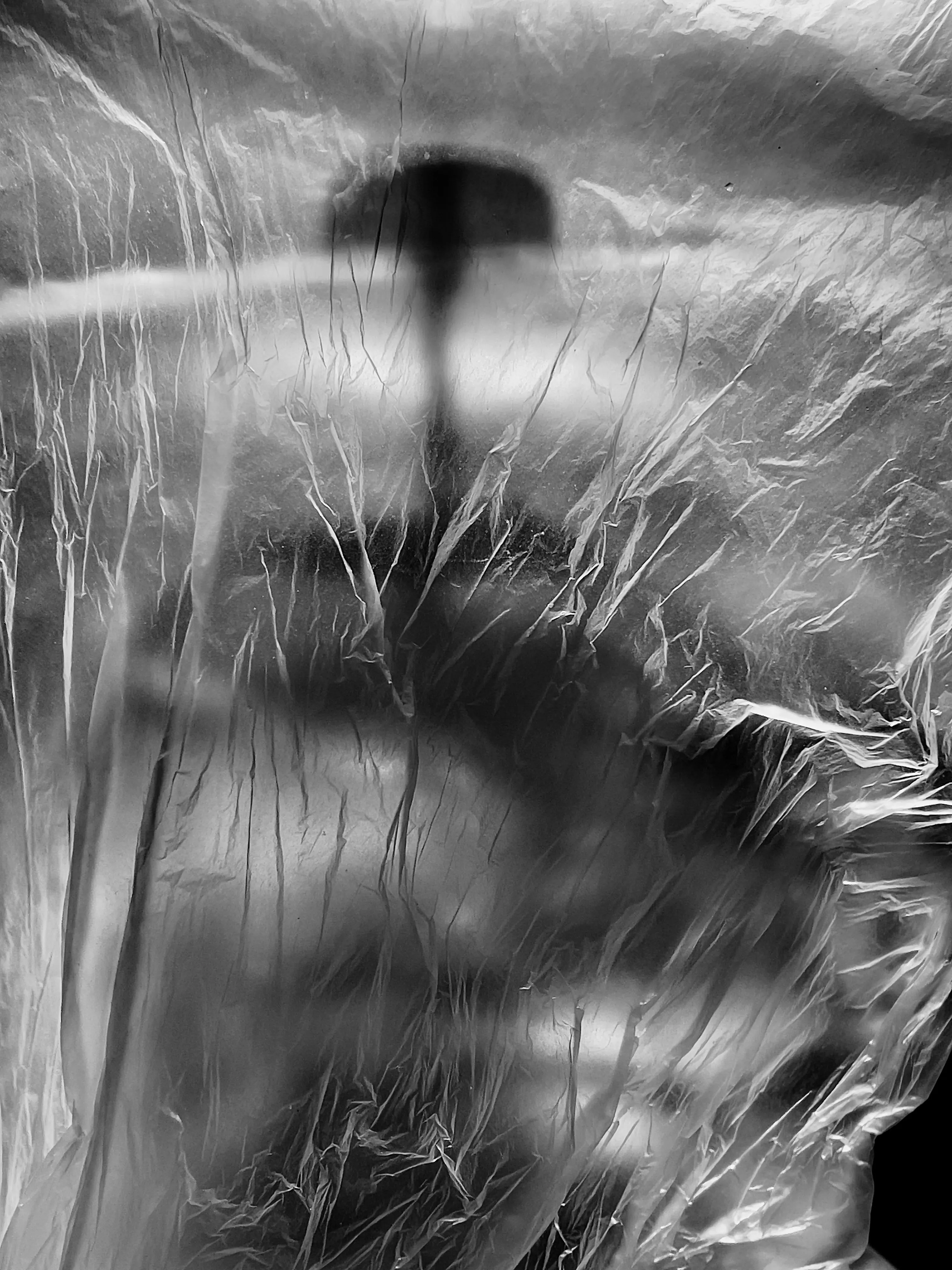 Призрак Френч-пресса