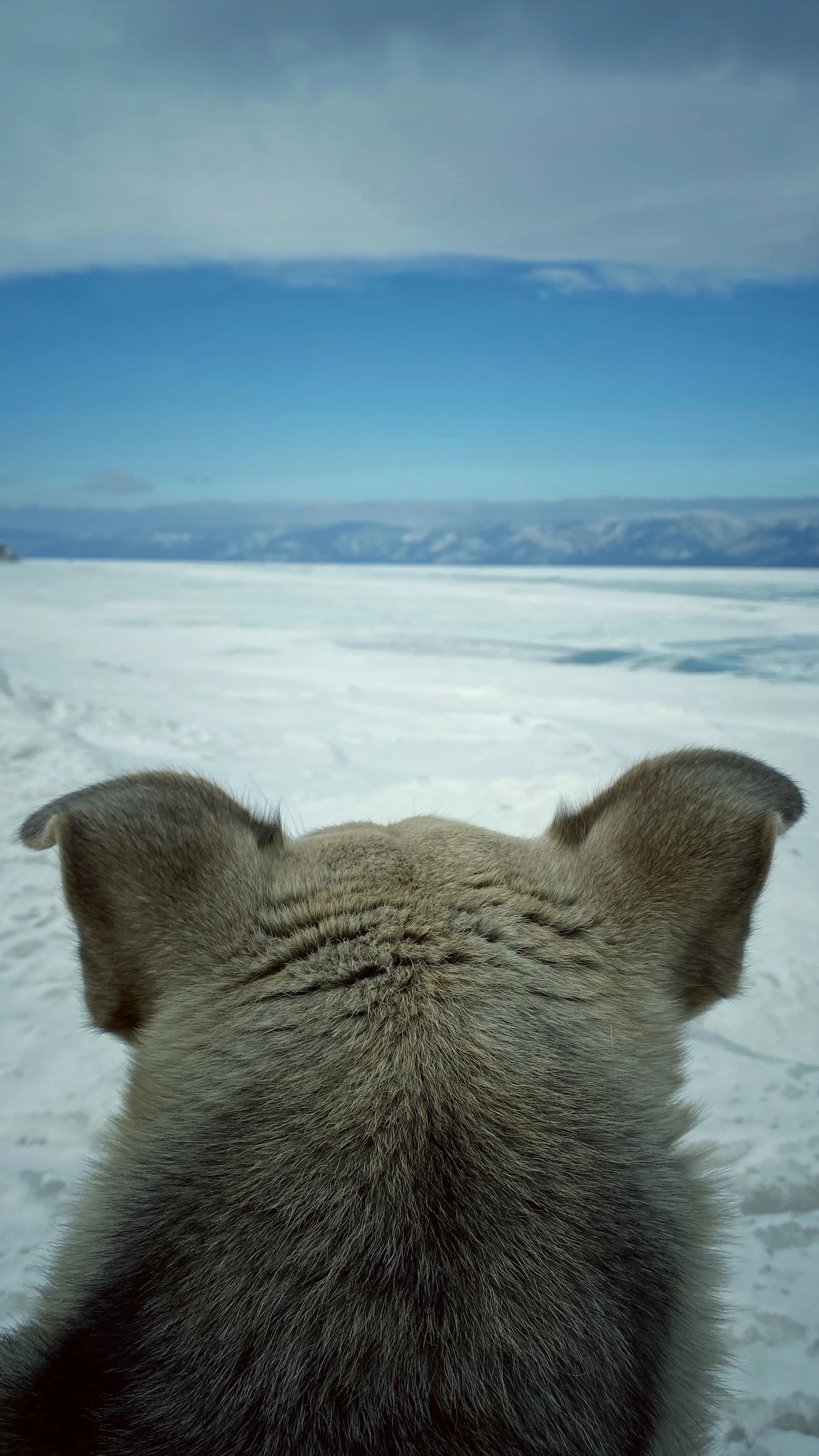 Созерцание Байкала