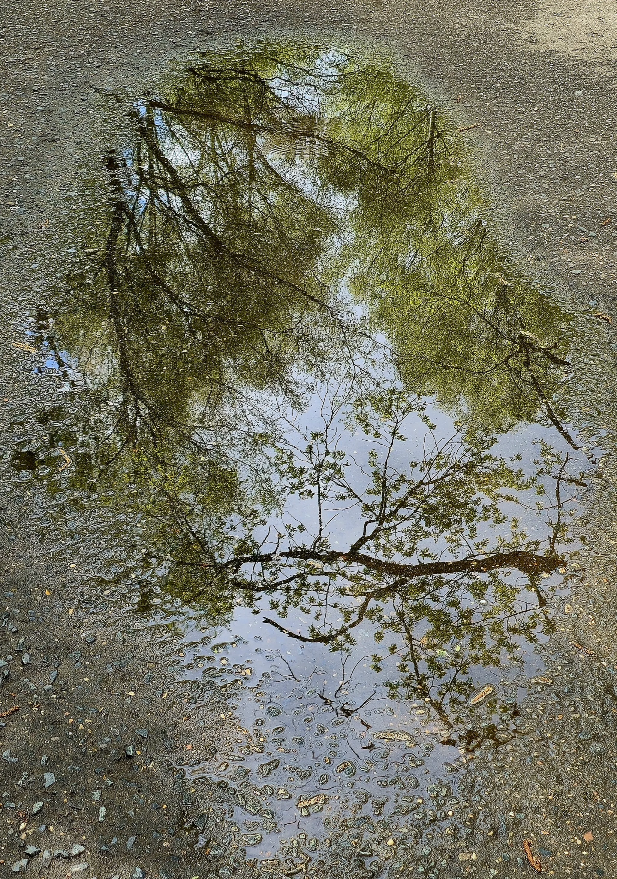 Окно в прекрасное