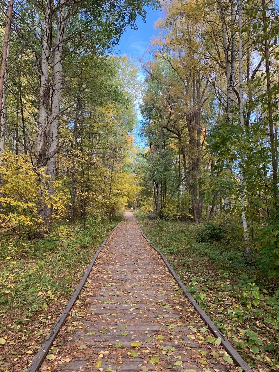 Осень тропою в вечность