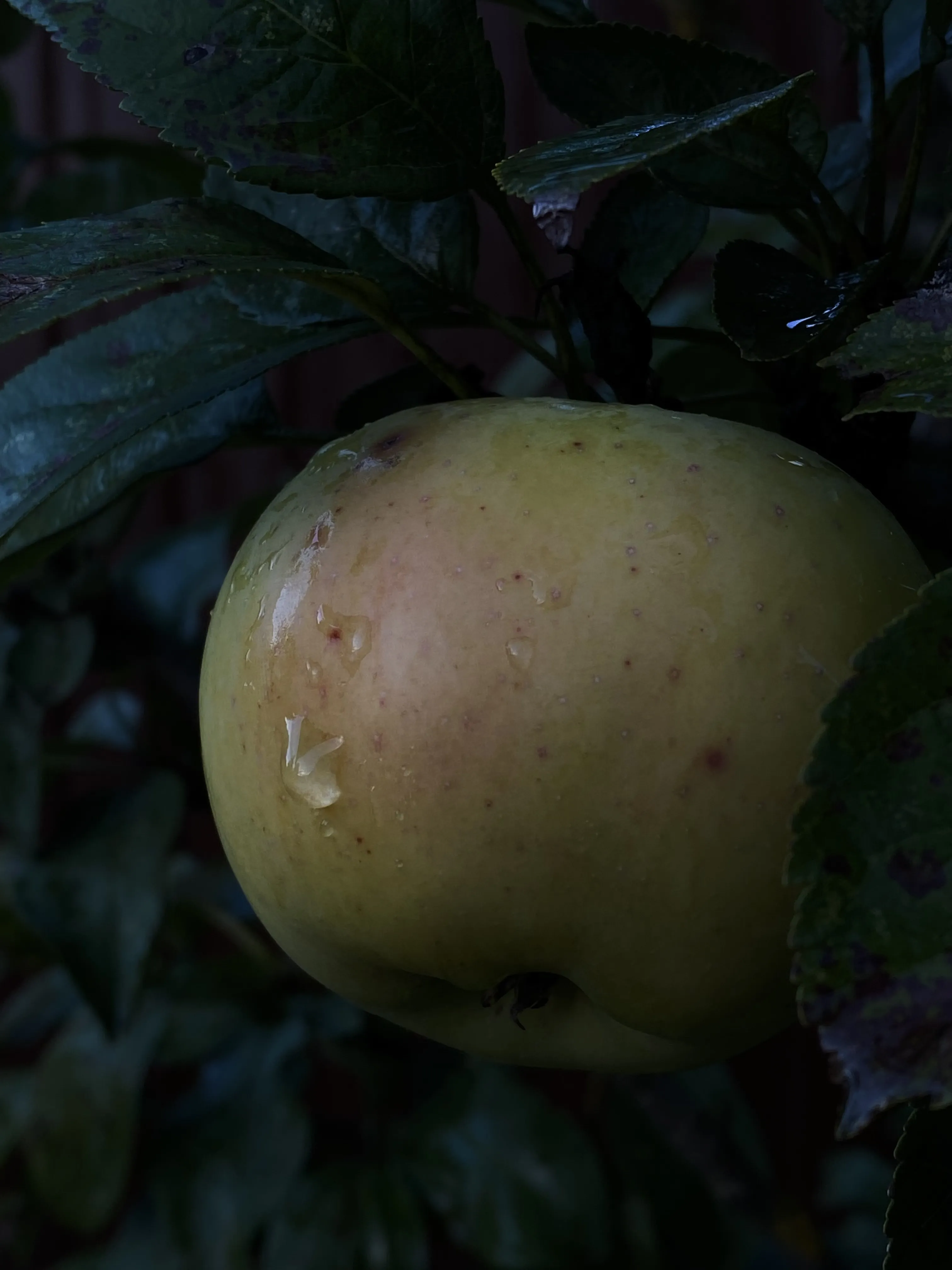 прощание с летом