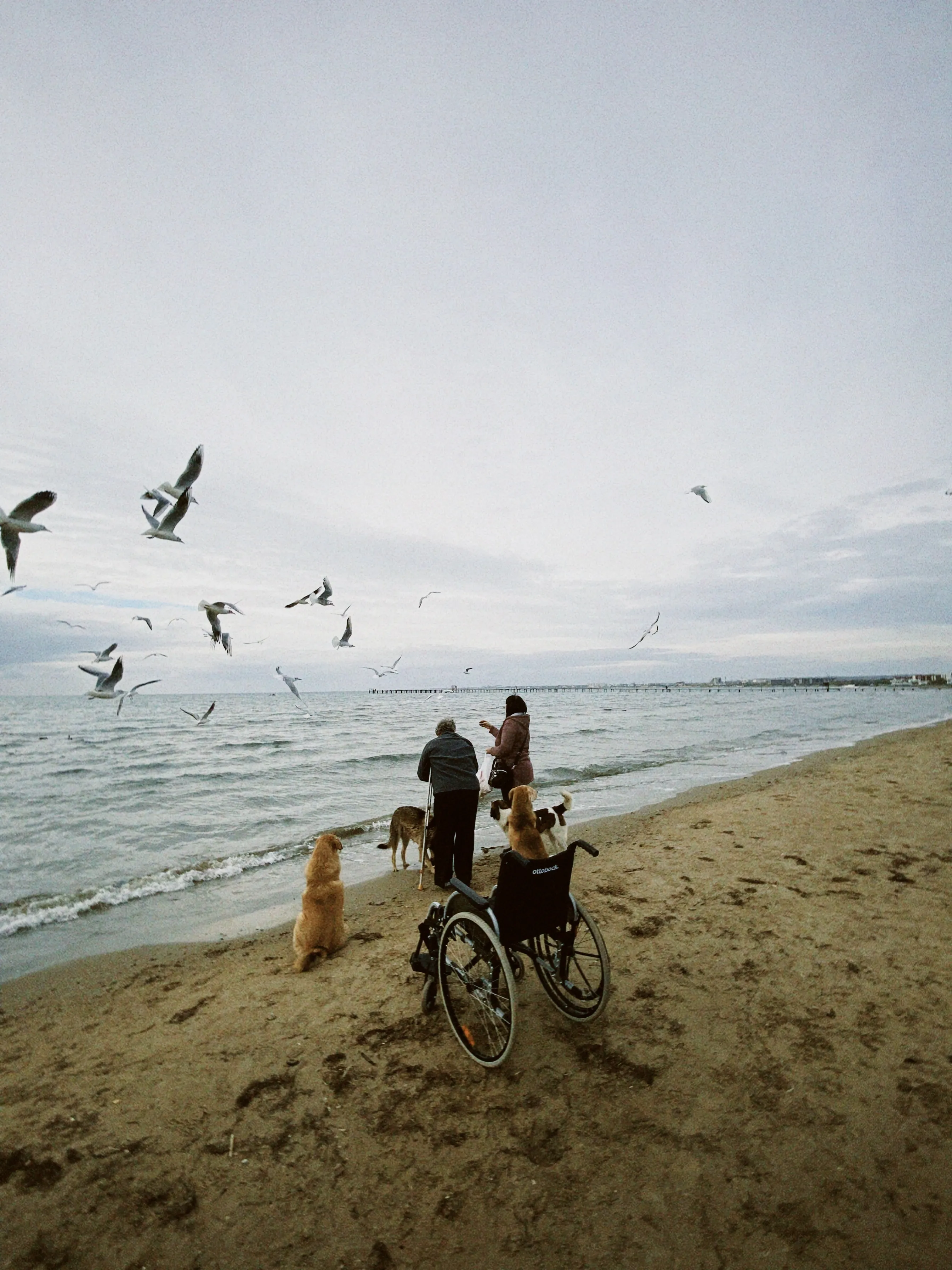 Сцена у моря