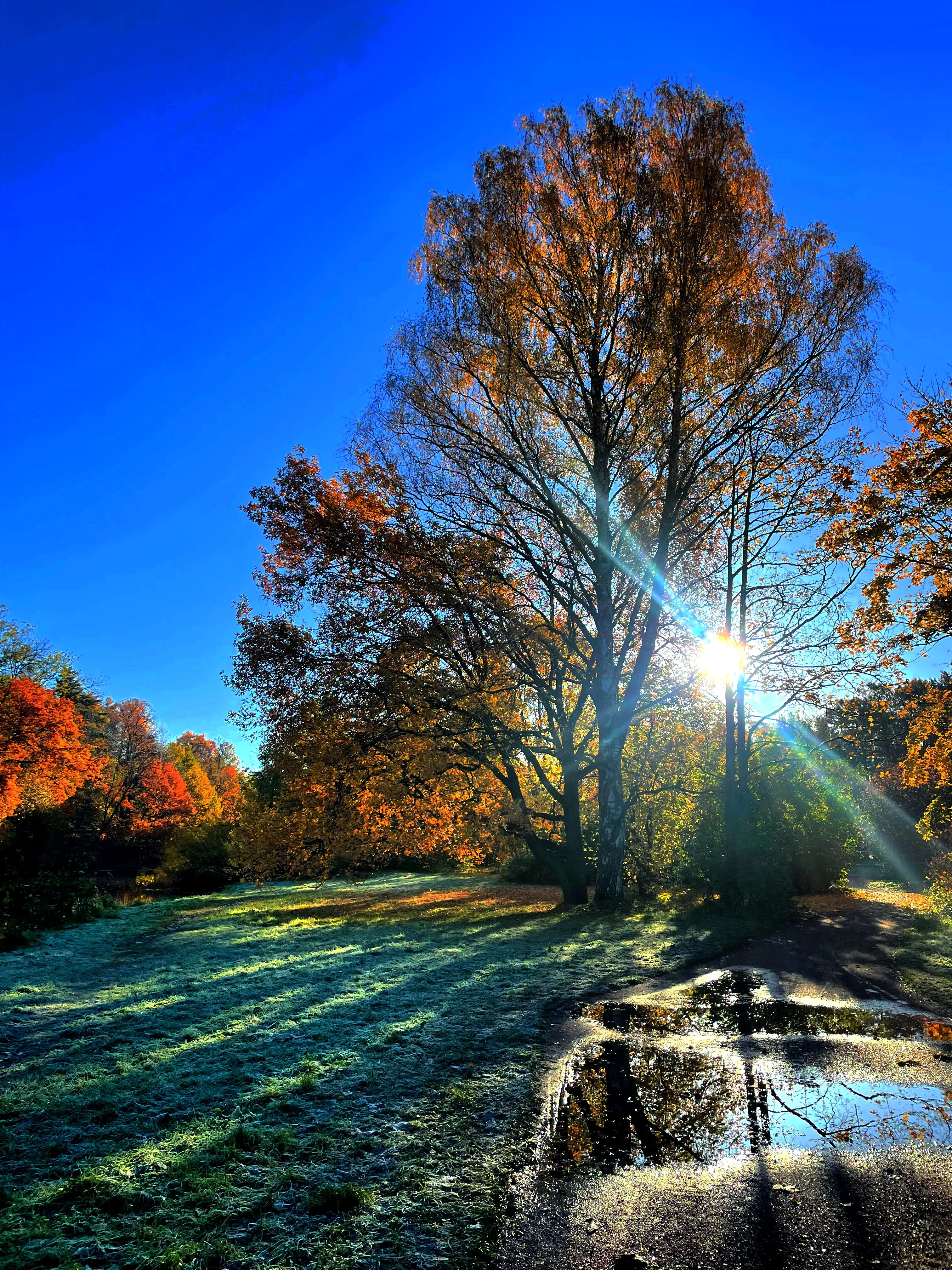 Оживление природы