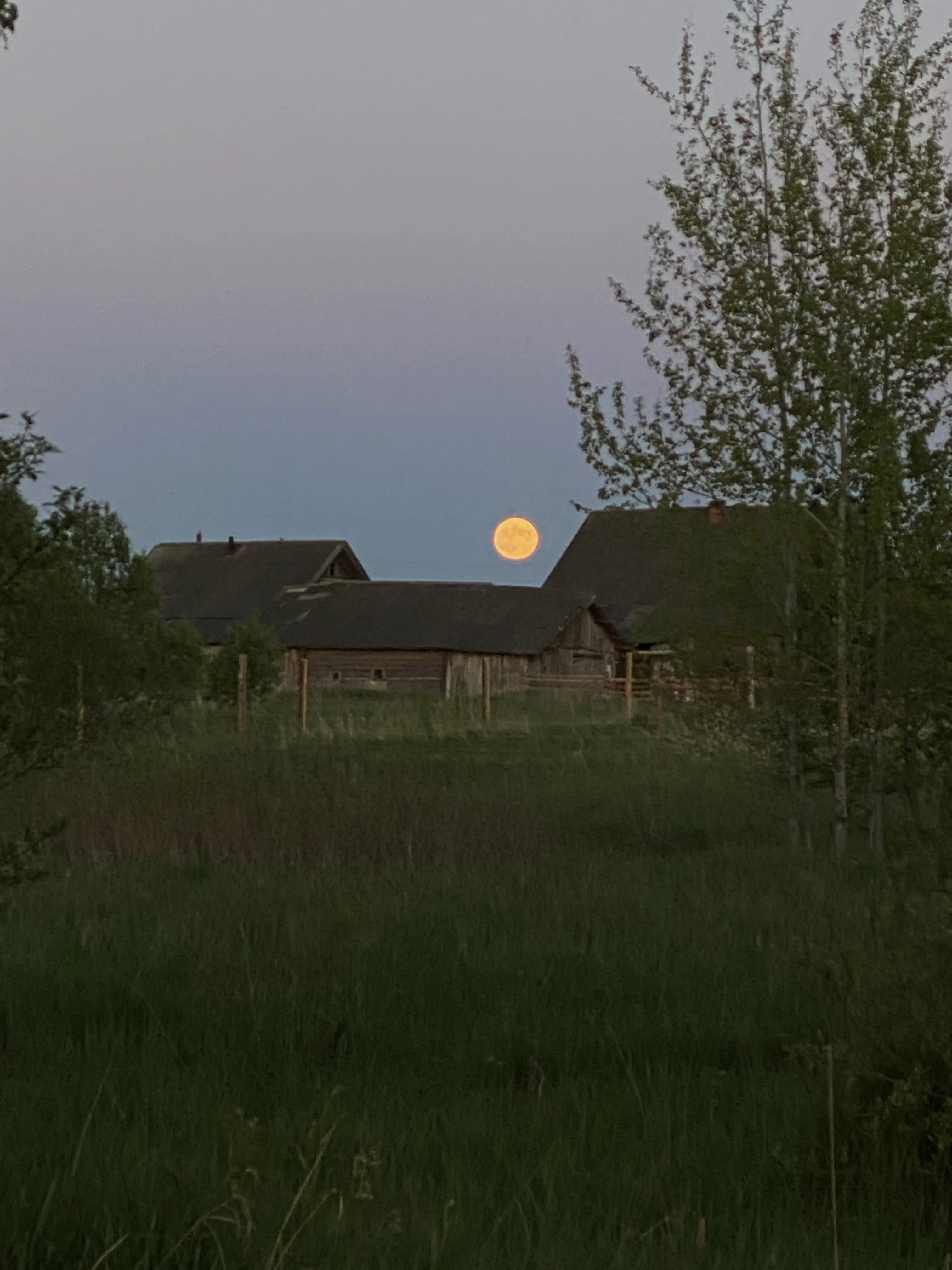 вечера на хуторе