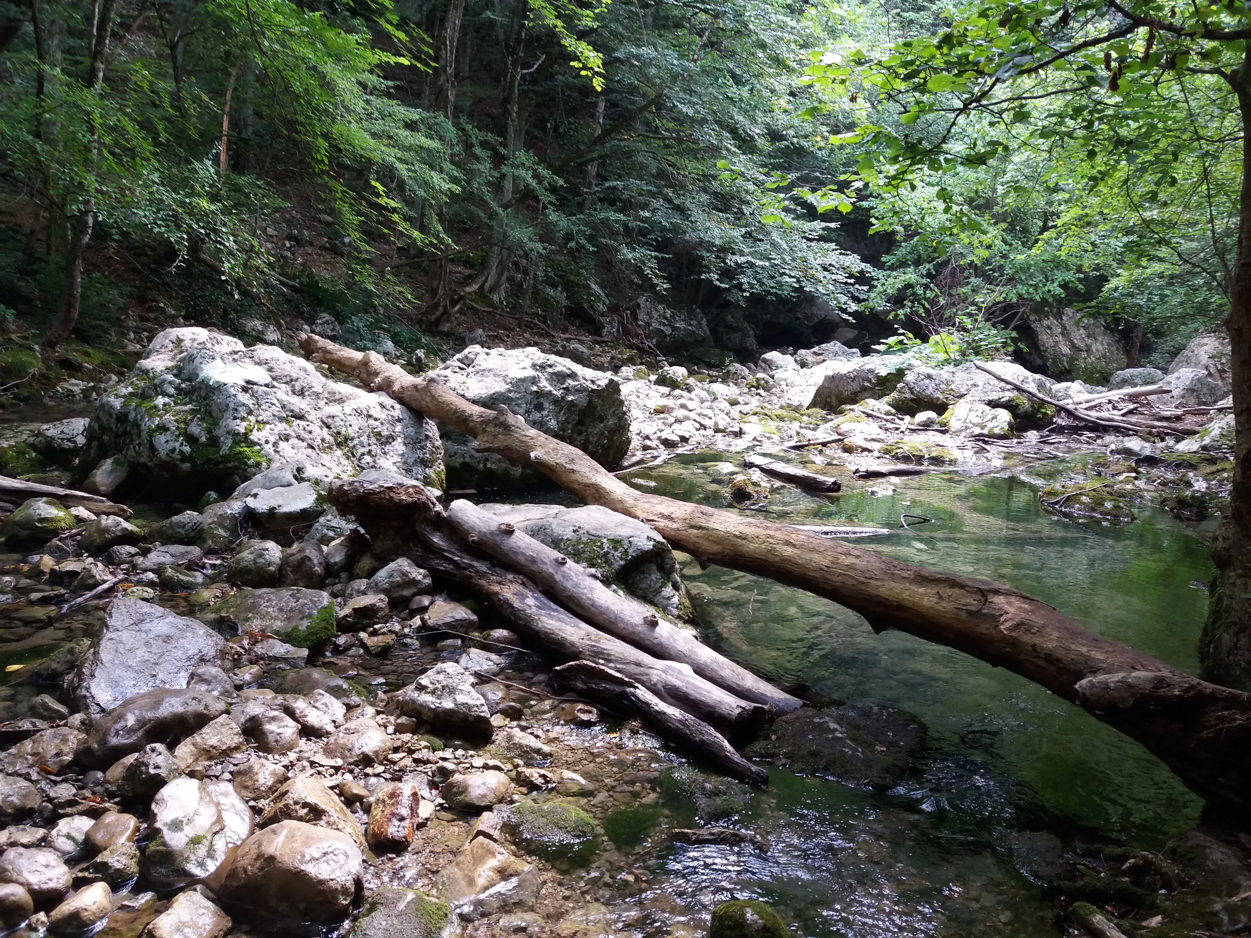 А где же мишки