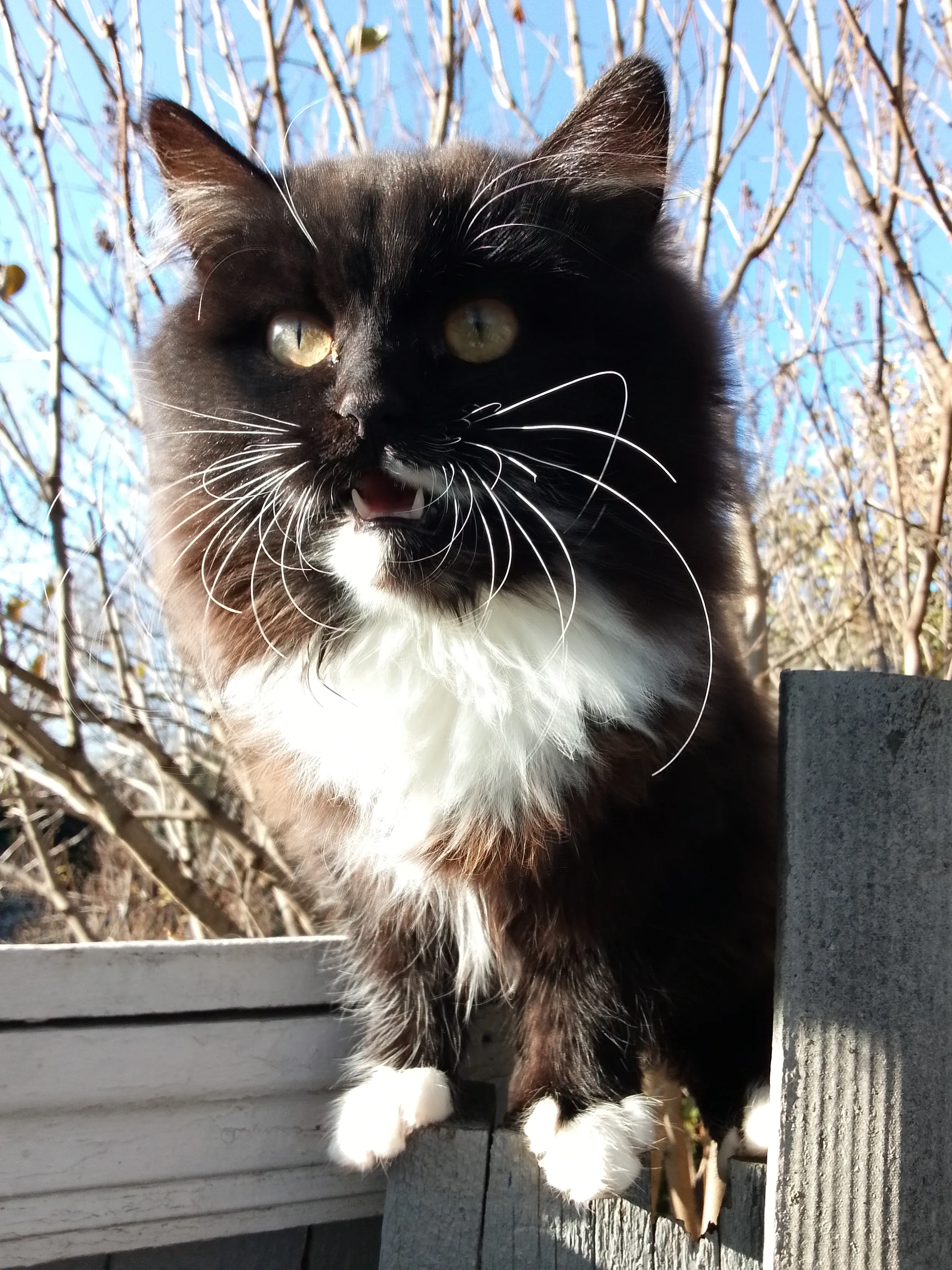 Эй, ты! Пропуск показывай!