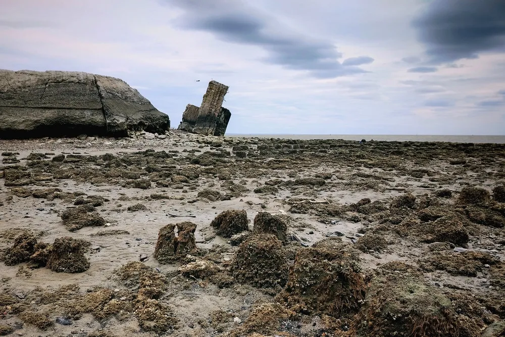 Обнаженная история