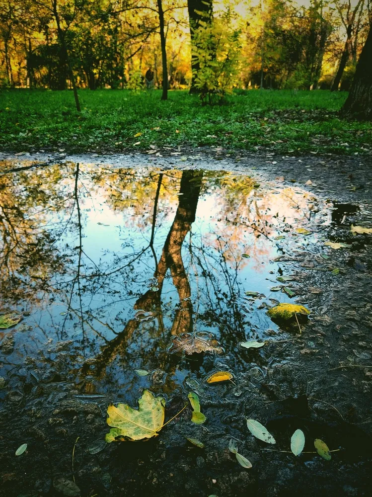 Последний аккорд осени