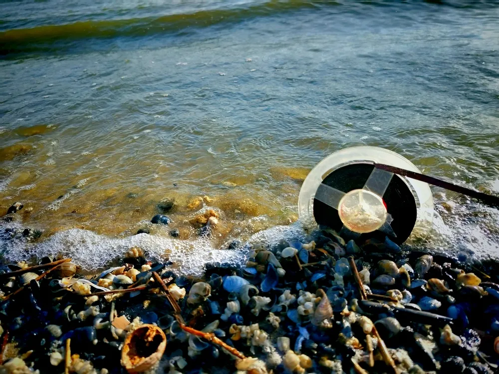 Музыка волны