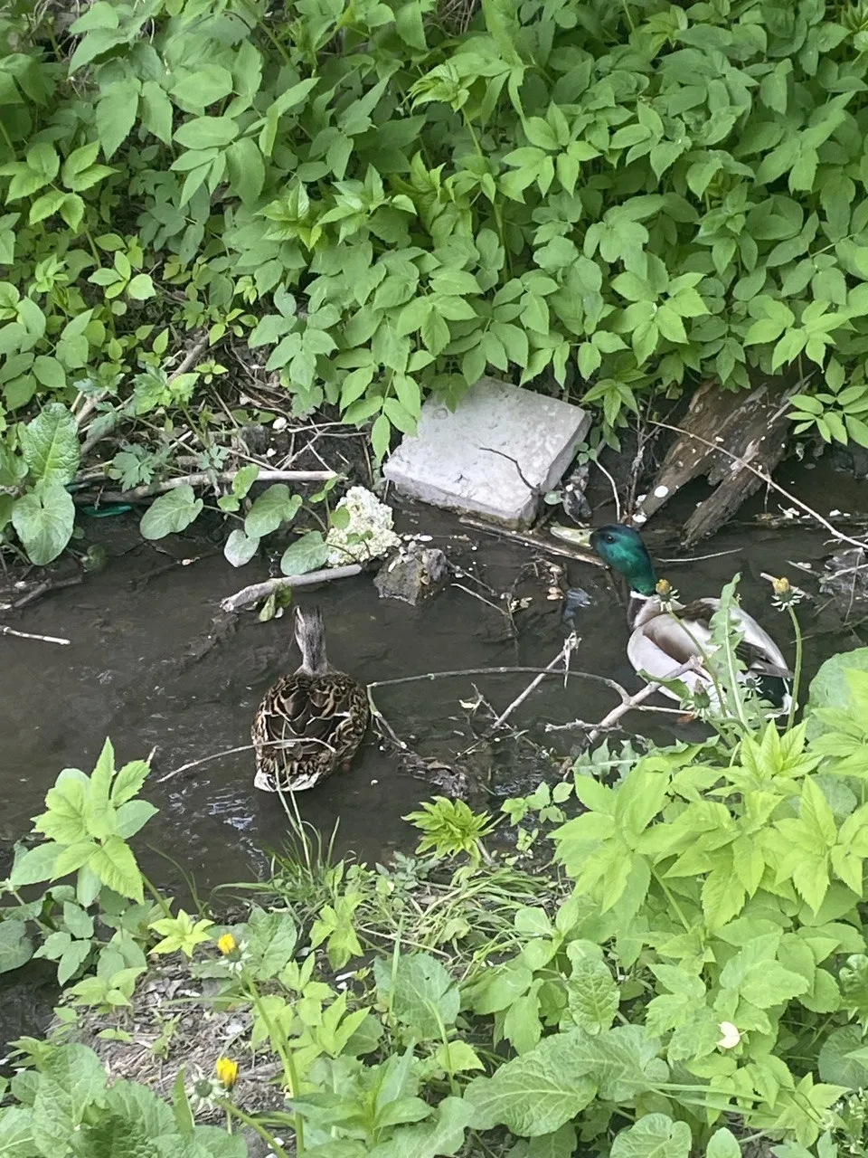 Семейная жизнь