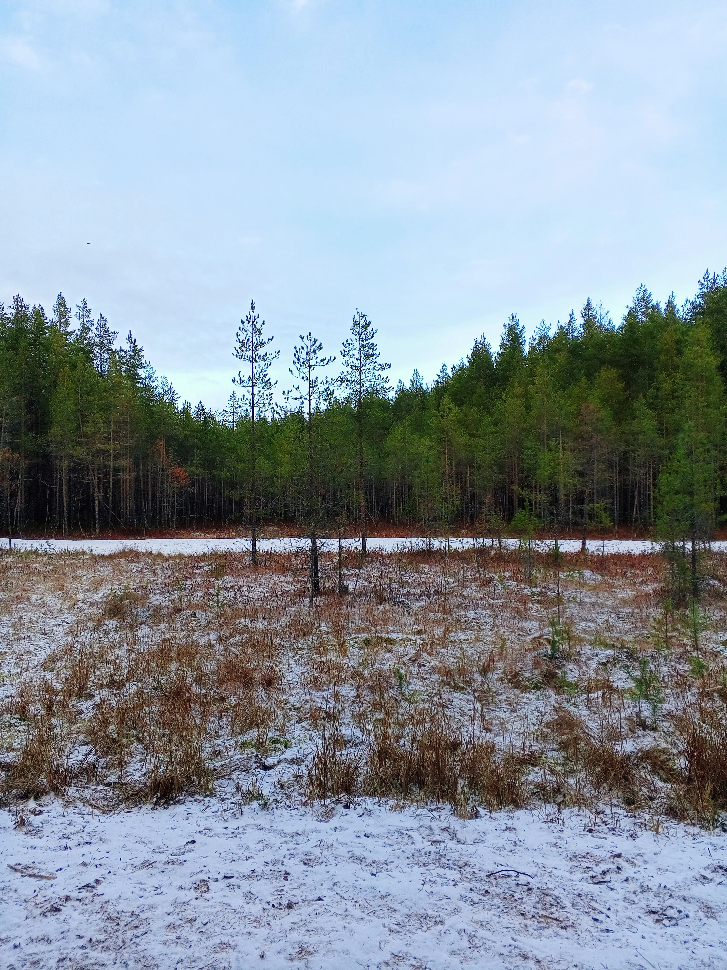 Ноябрьский день