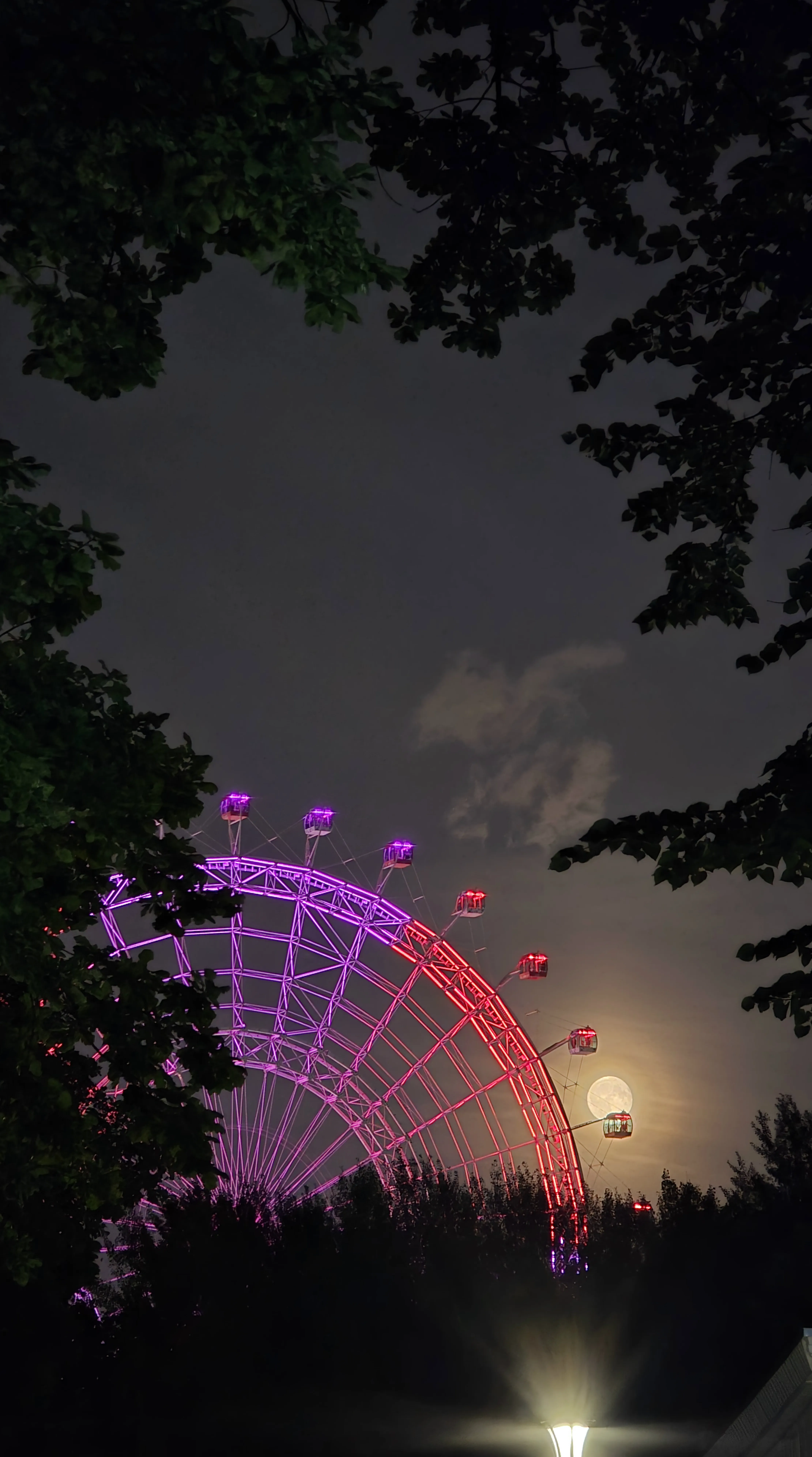 Круговорот