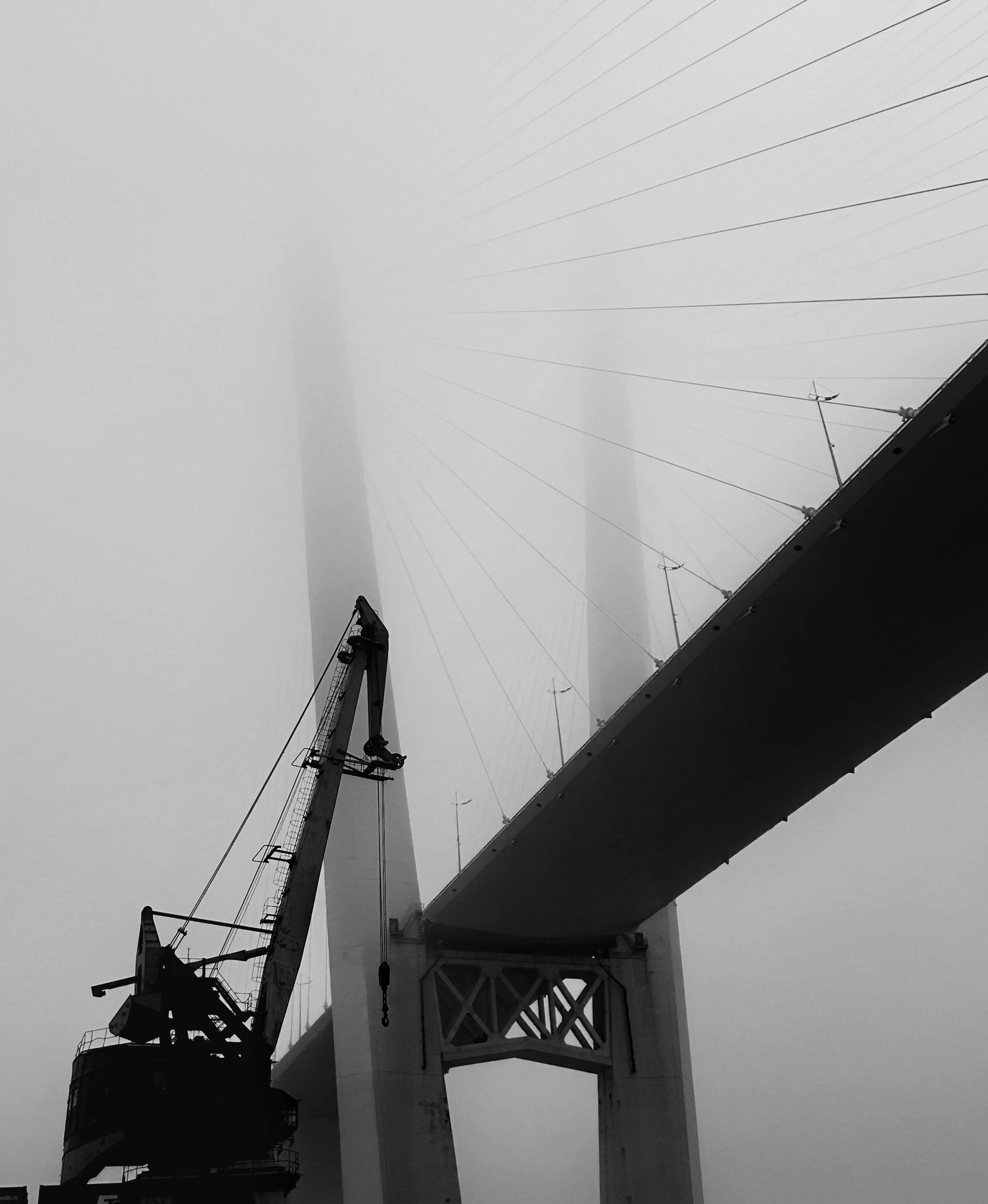 Сквозь туман