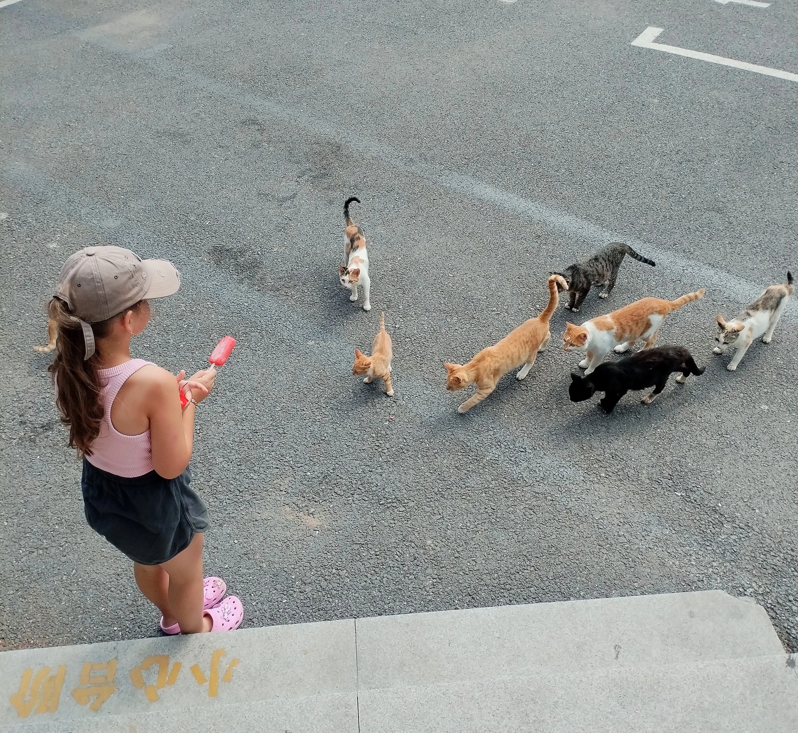 Аппетитное лакомство