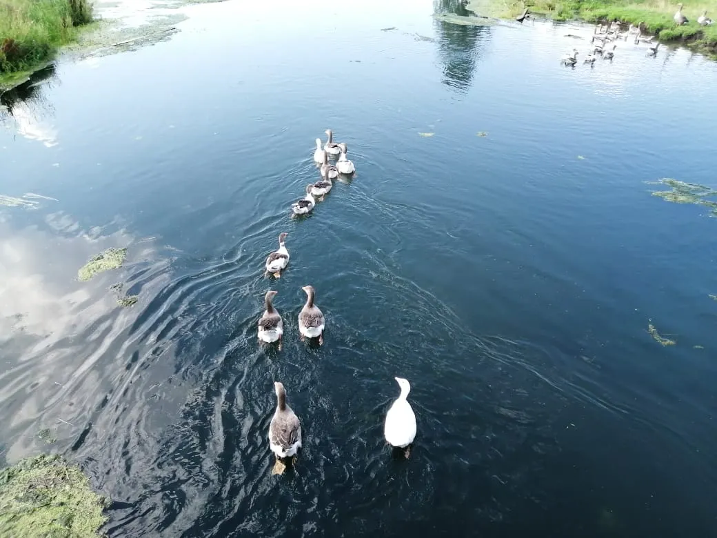 Прогулка на воде