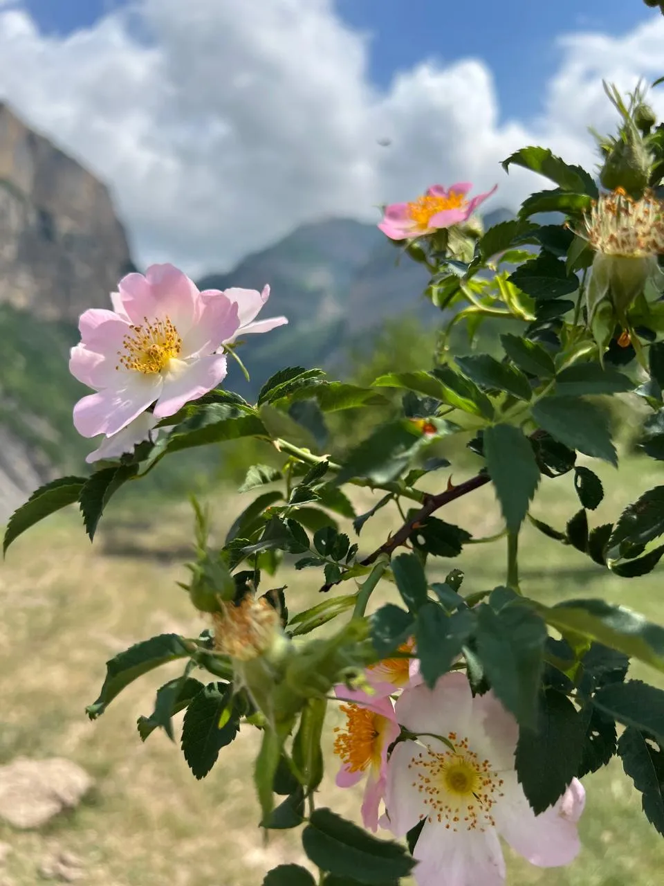 Время остановилось