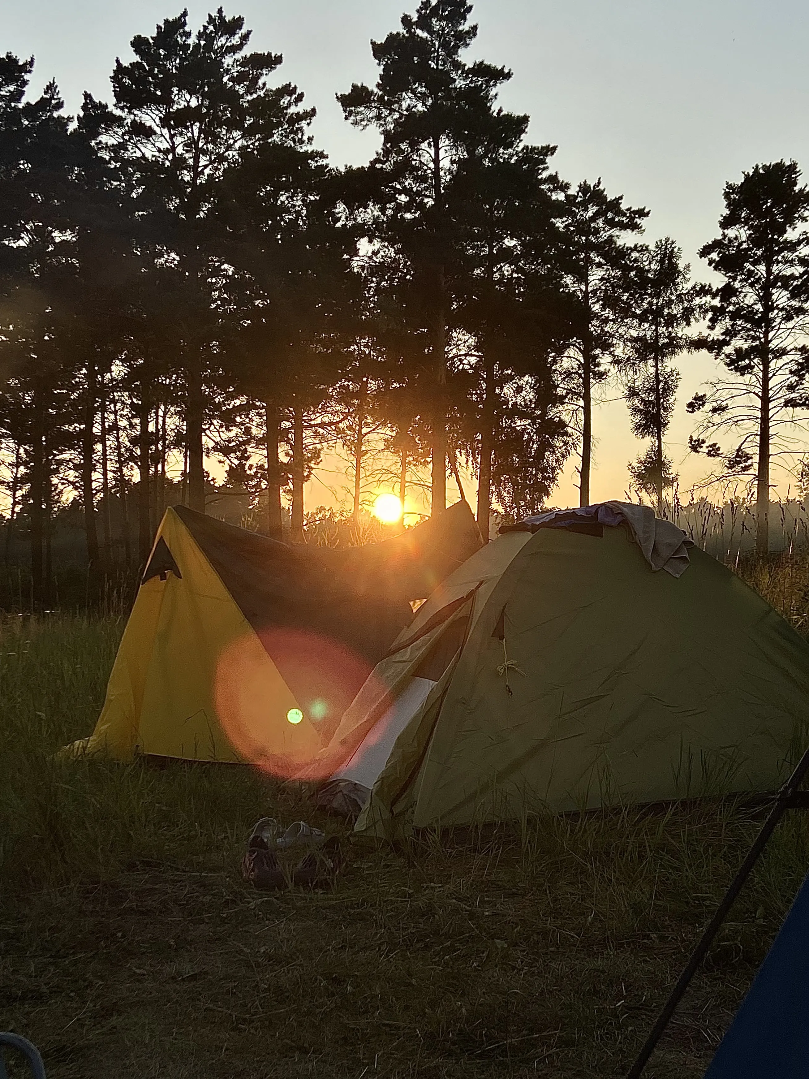 Солнечный зайчик