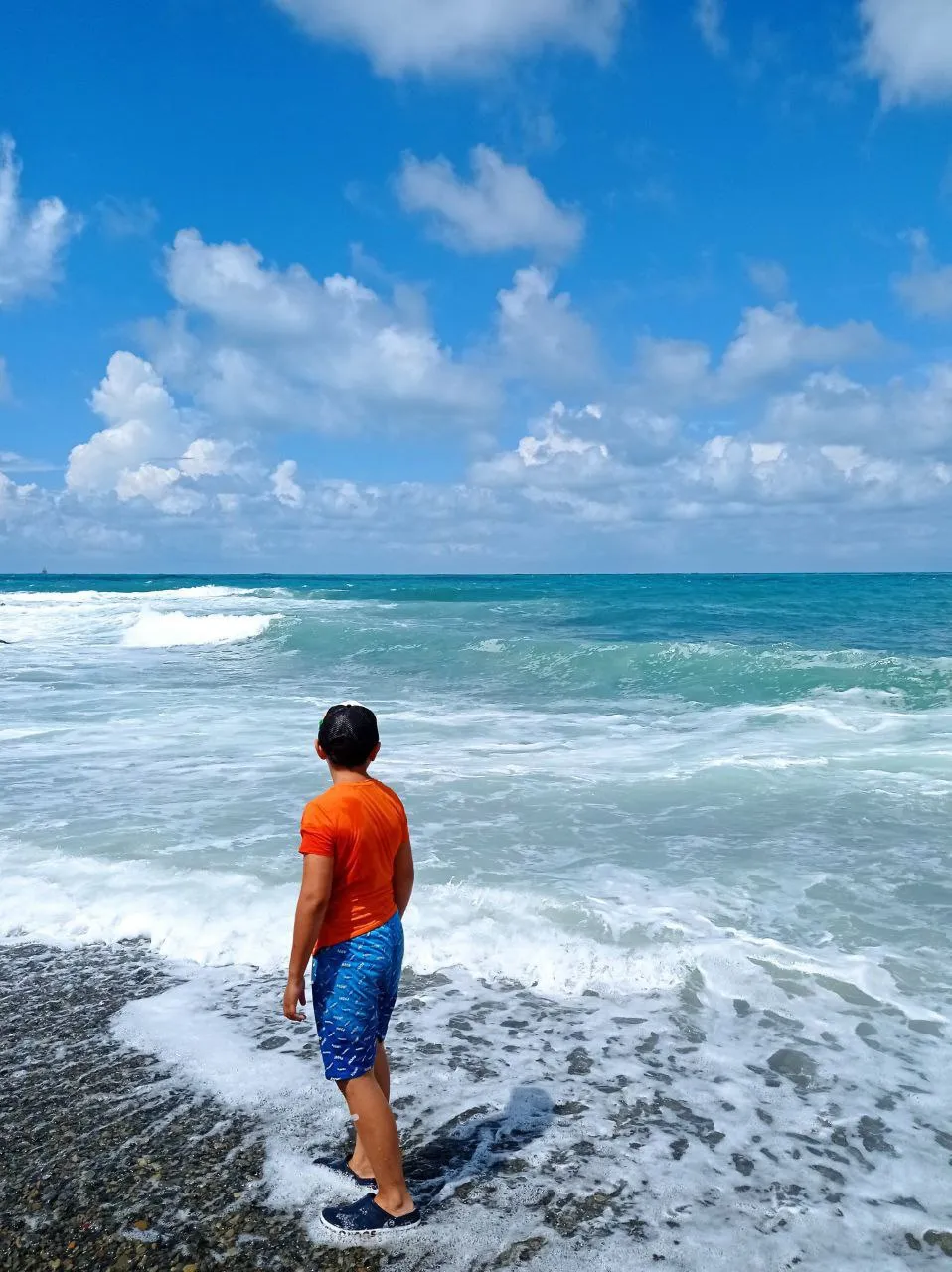 У Черного моря