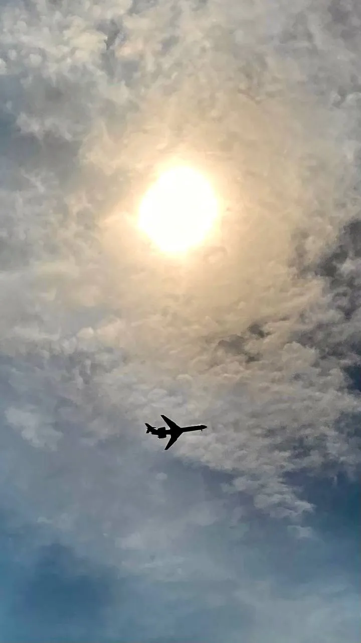 Навстречу лету