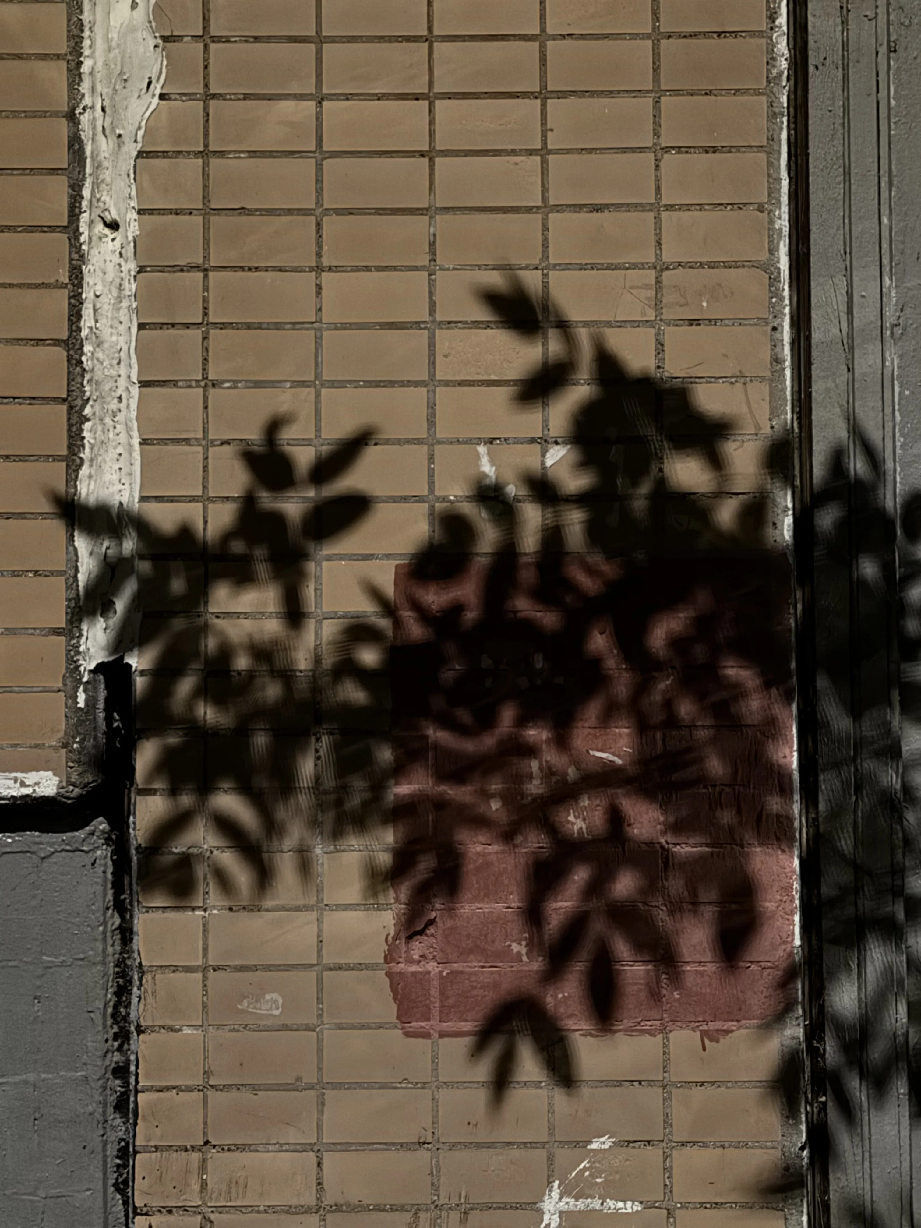 временная татуировка