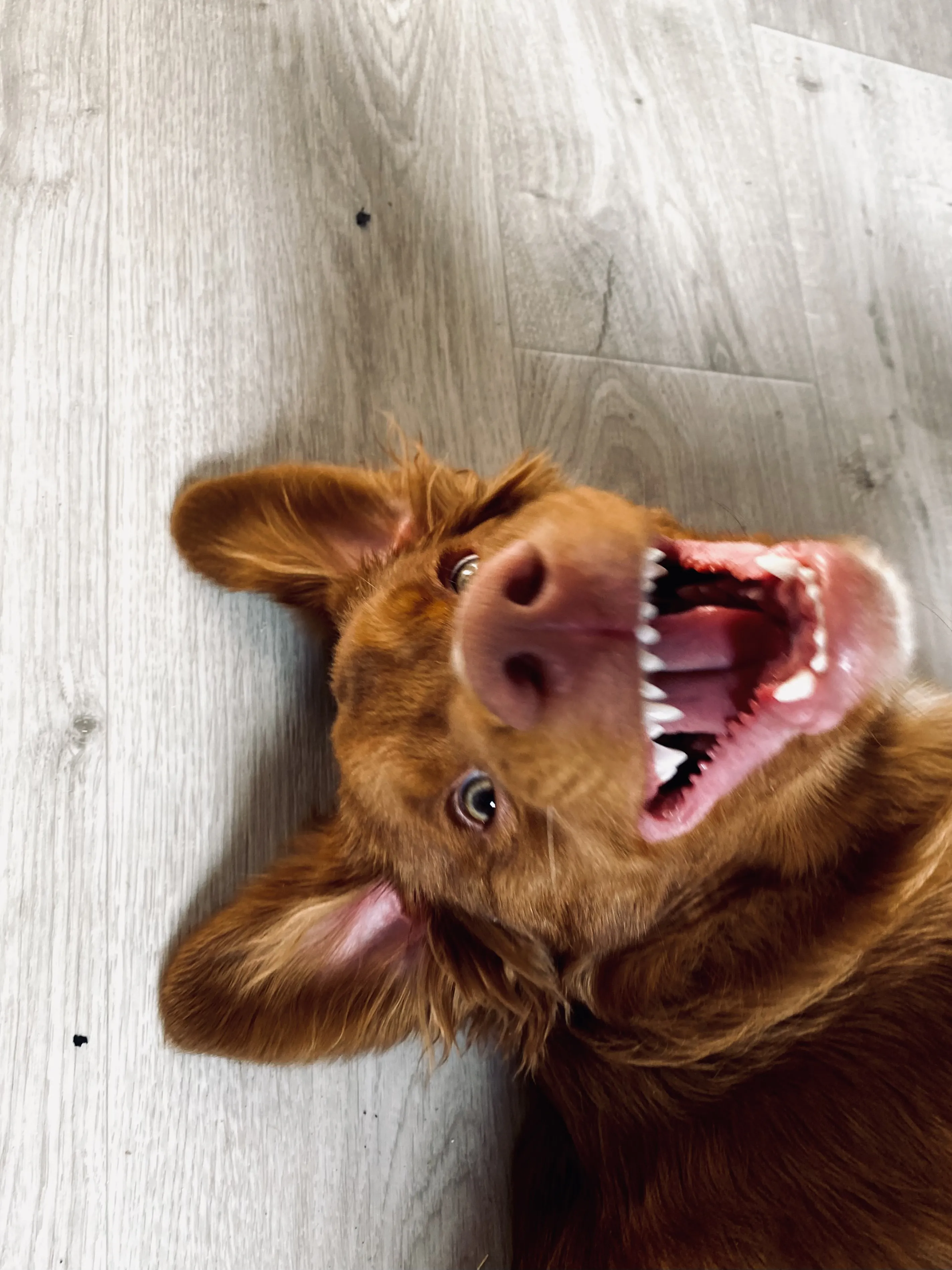 Наш первый день