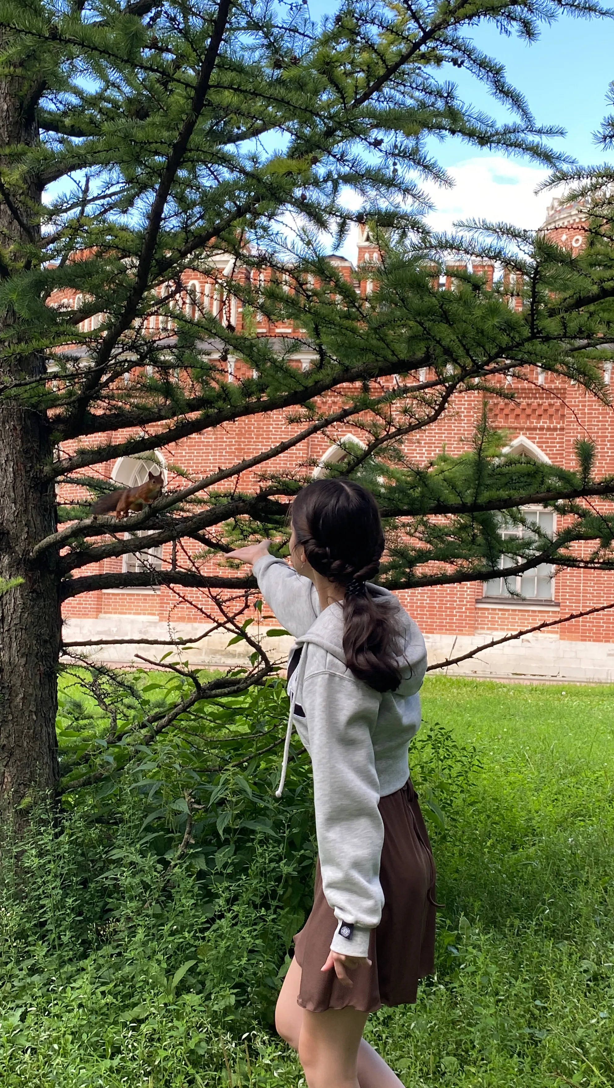 Встреча в лесу