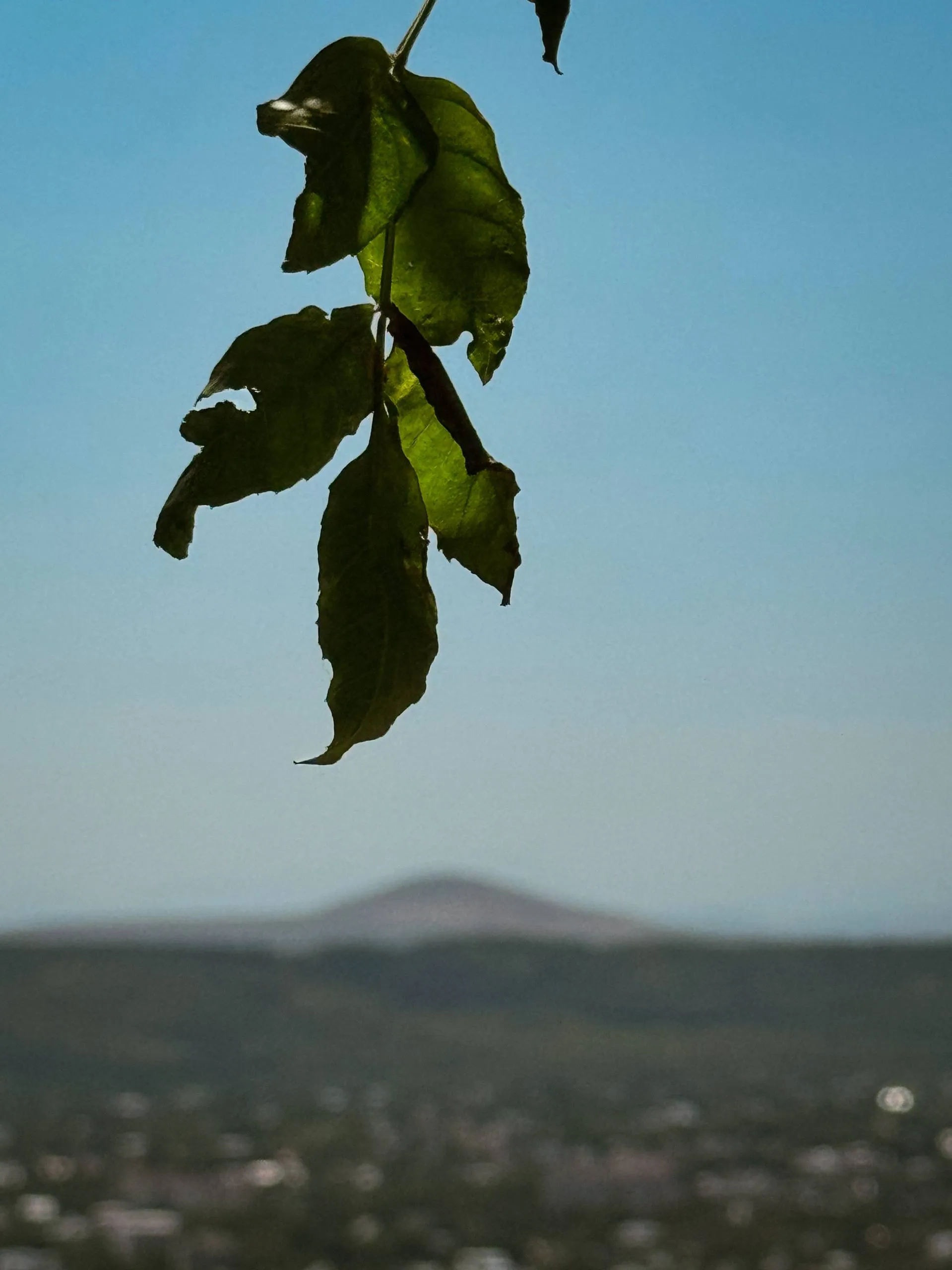 Умиротворение