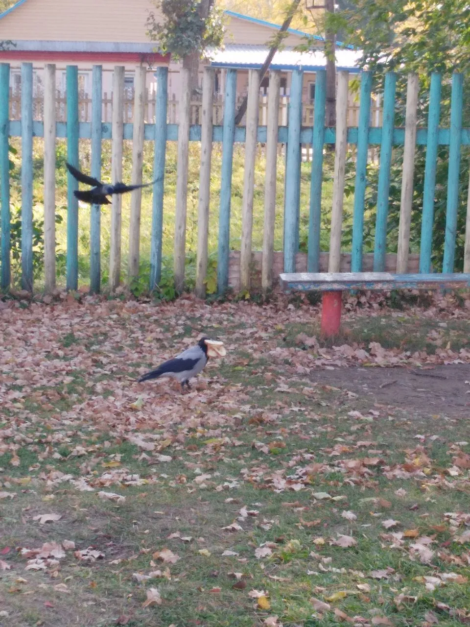 "Три кусочка счастья"