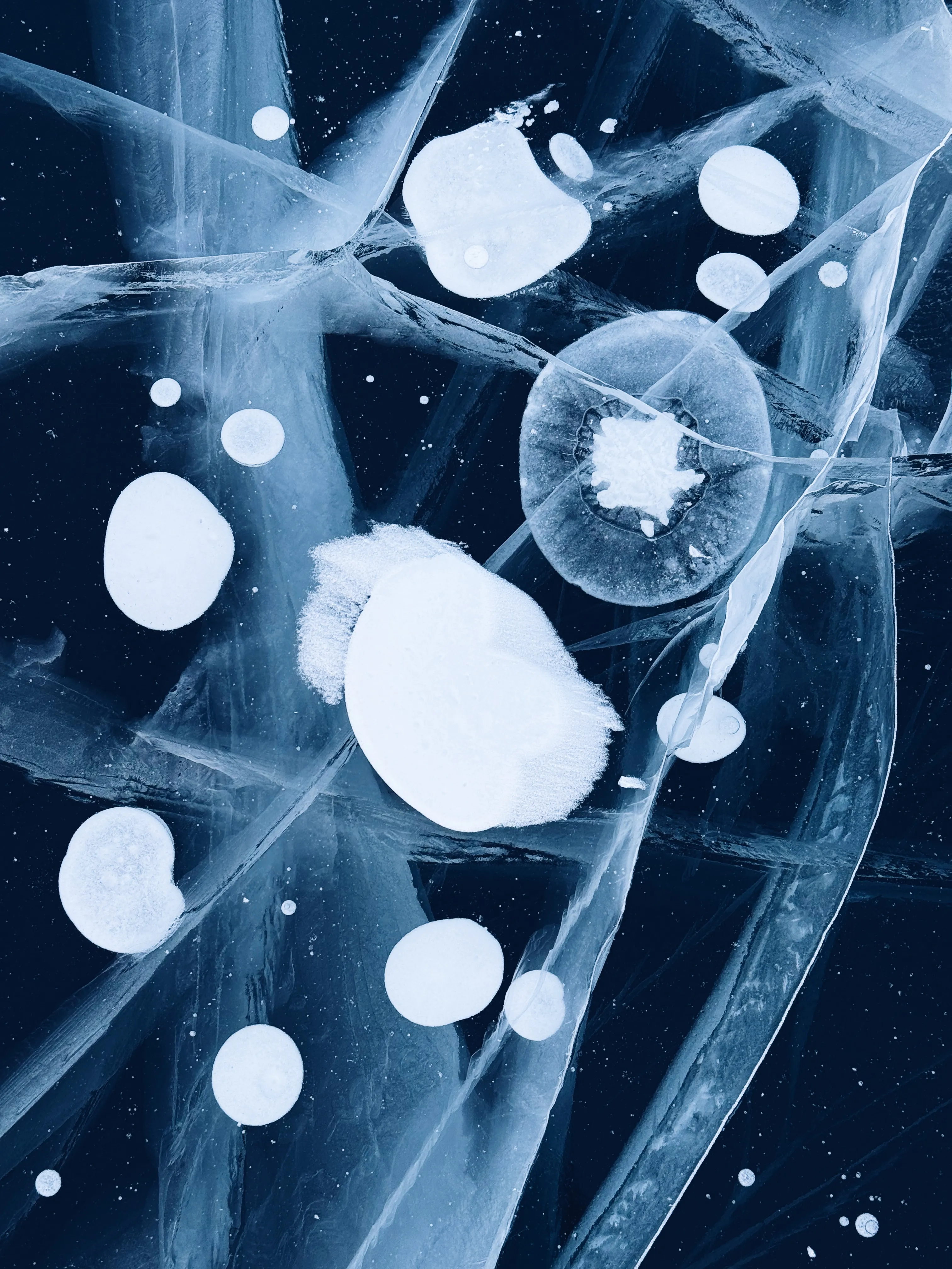 Космическое путешествие медузы